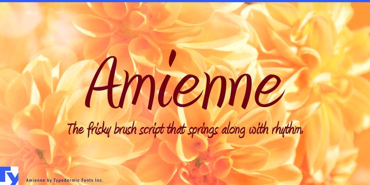 Amienne typeface specimen