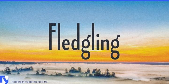 Fledgling typeface specimen