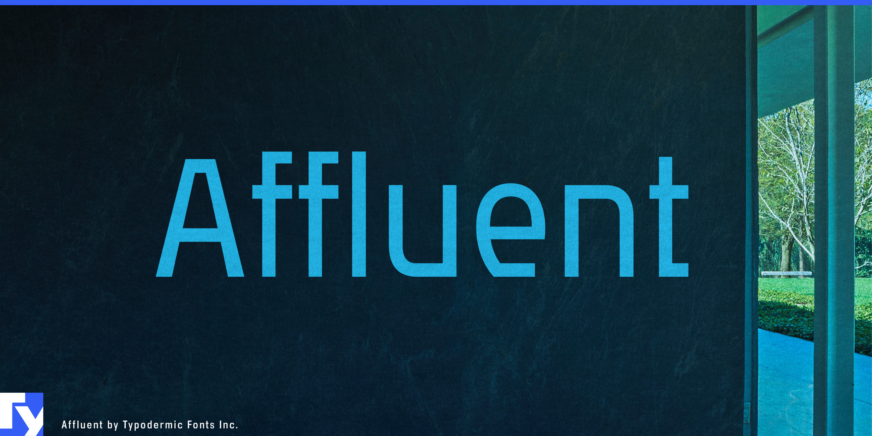 Affluent specimen 1
