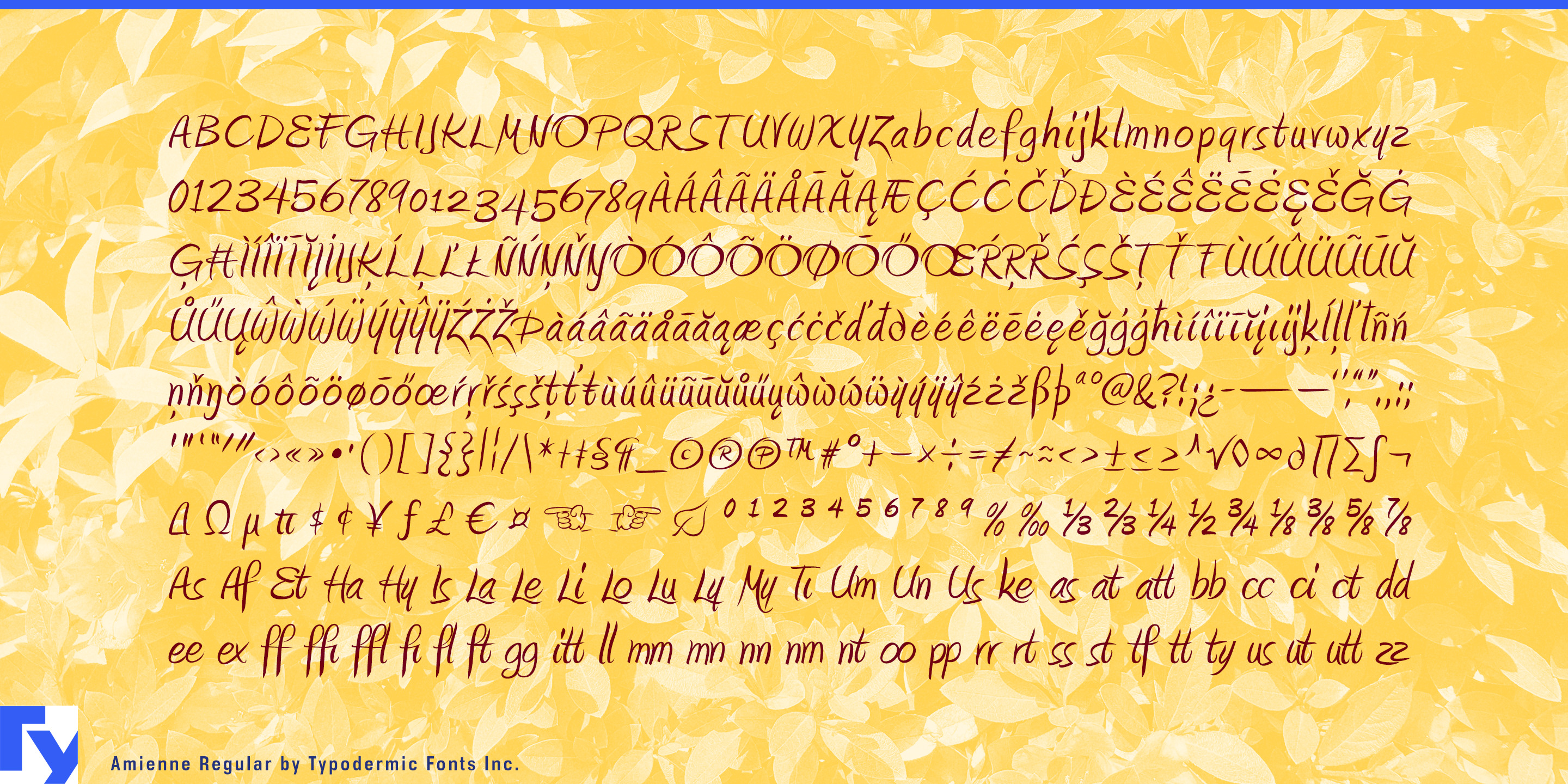 Amienne specimen 5