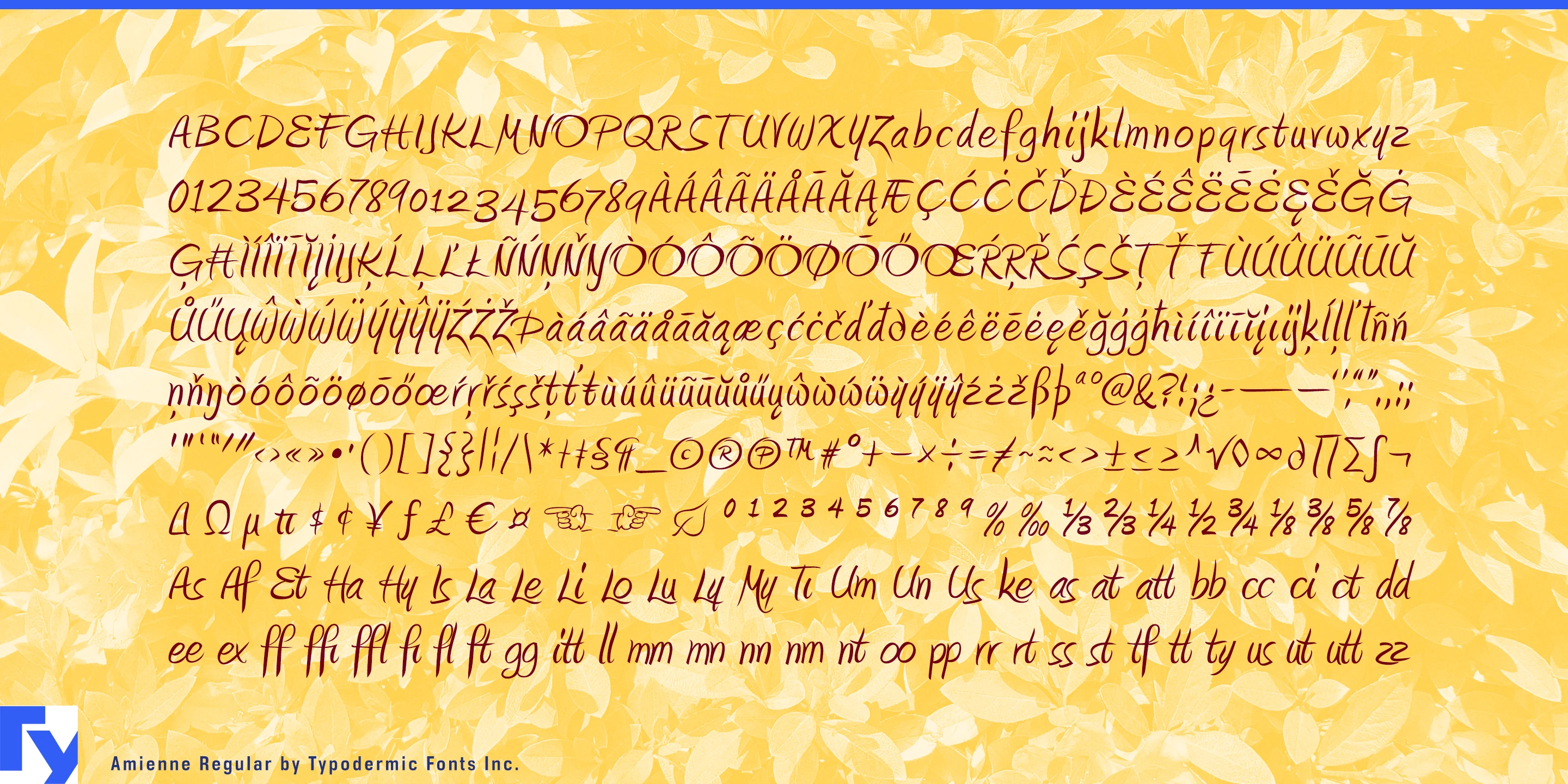 Amienne specimen 5