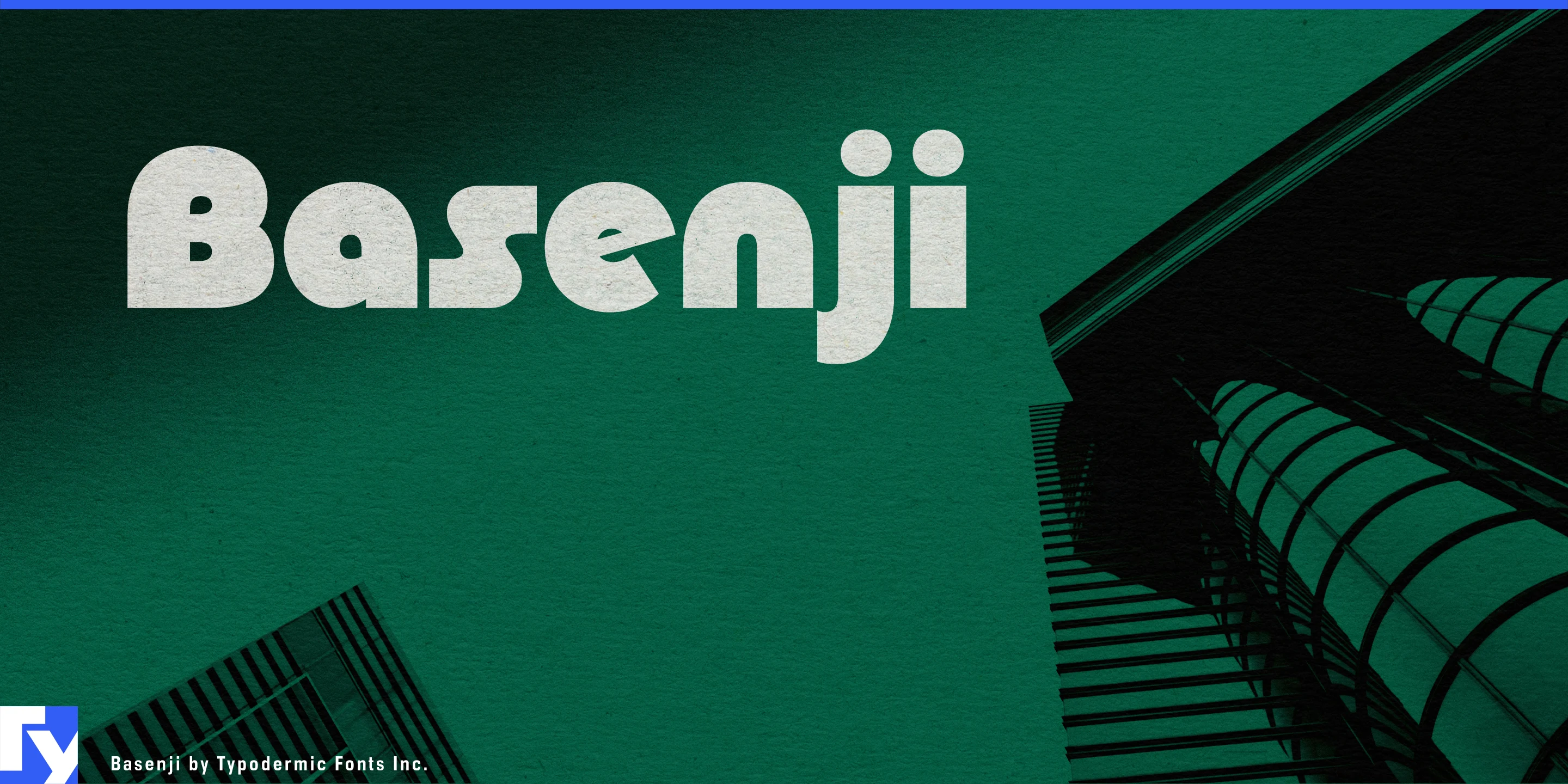 Amostra 1 de Basenji