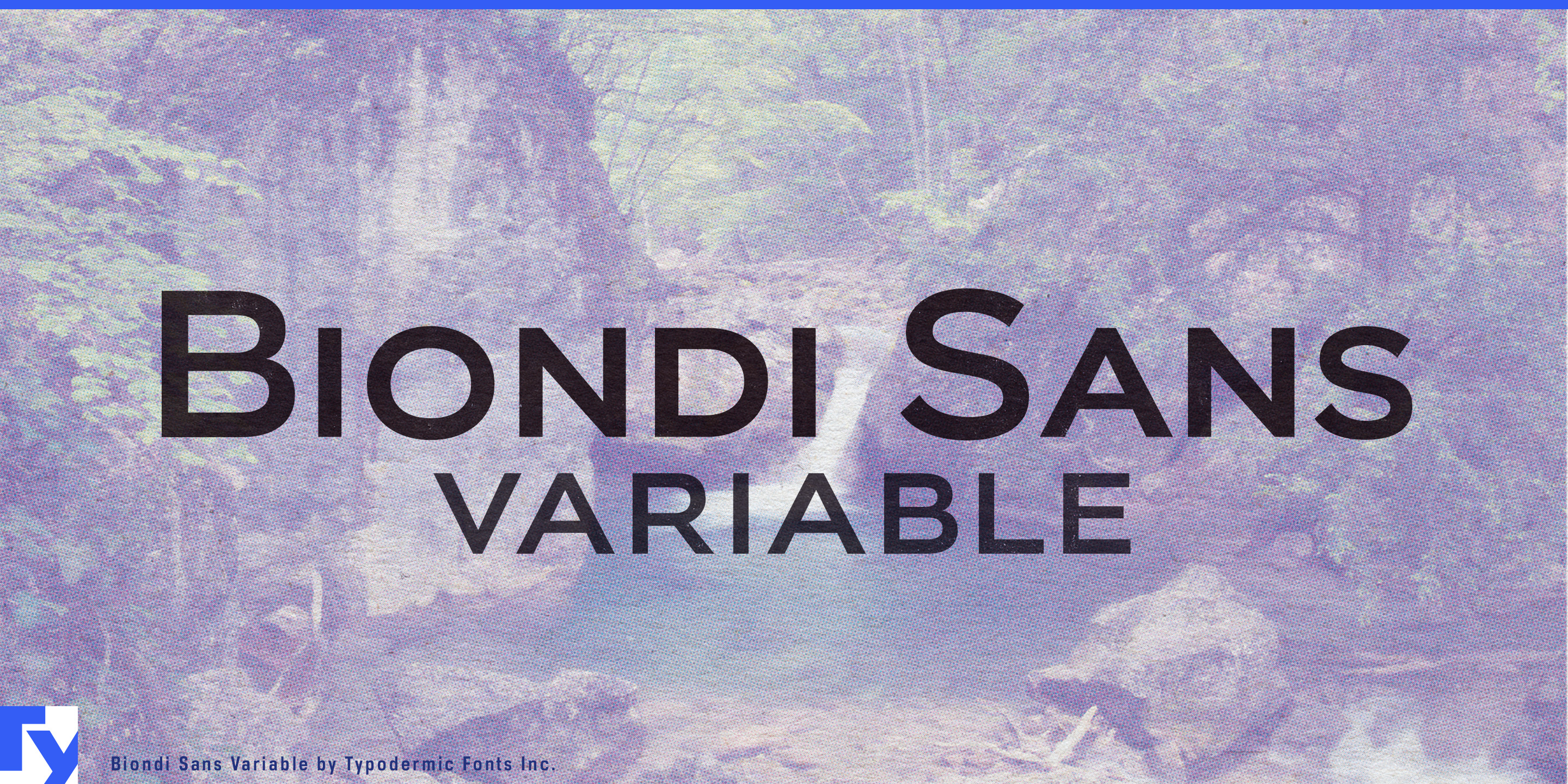 Biondi Sans specimen 8