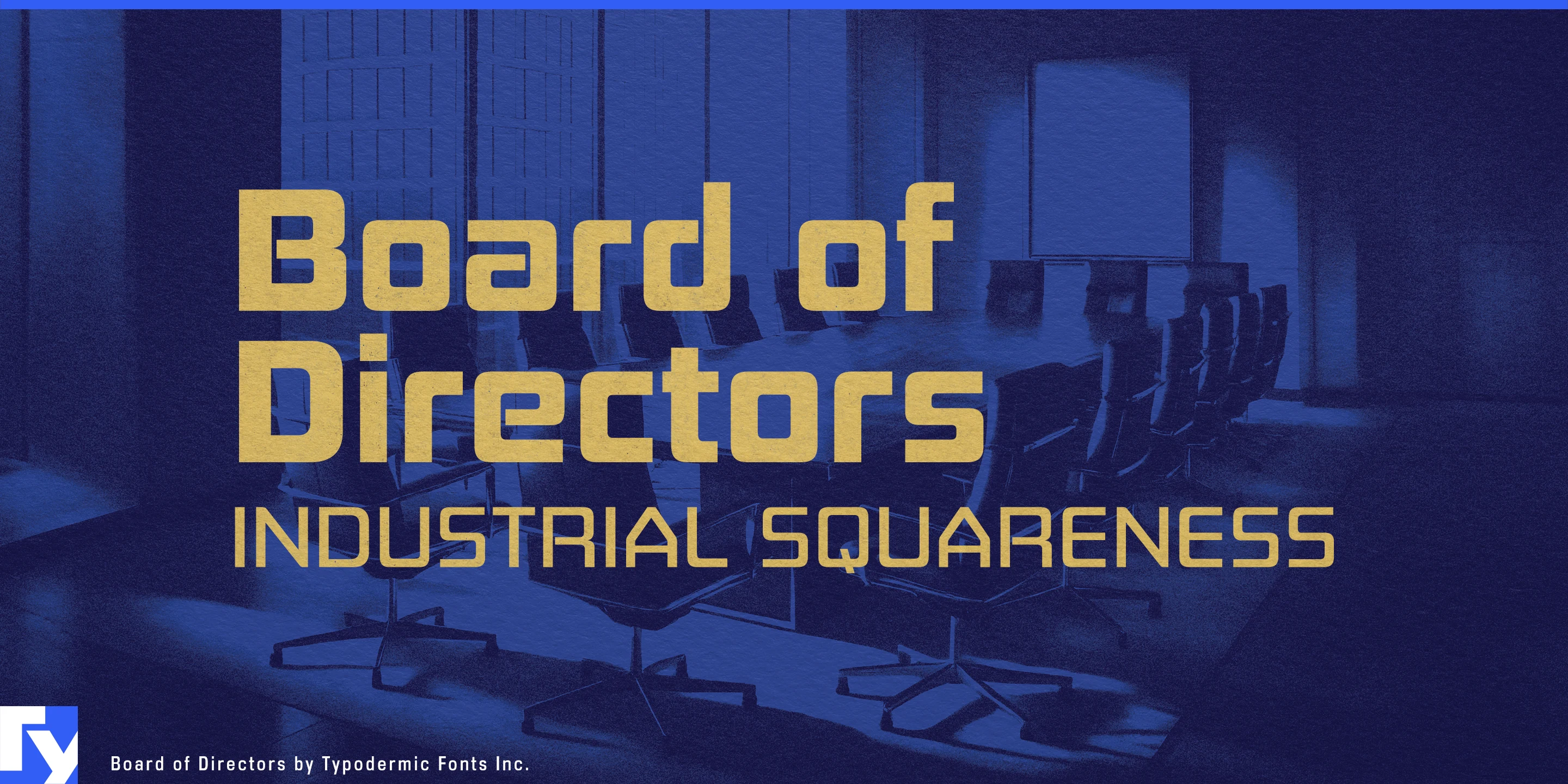 Board of Directors specimen 1