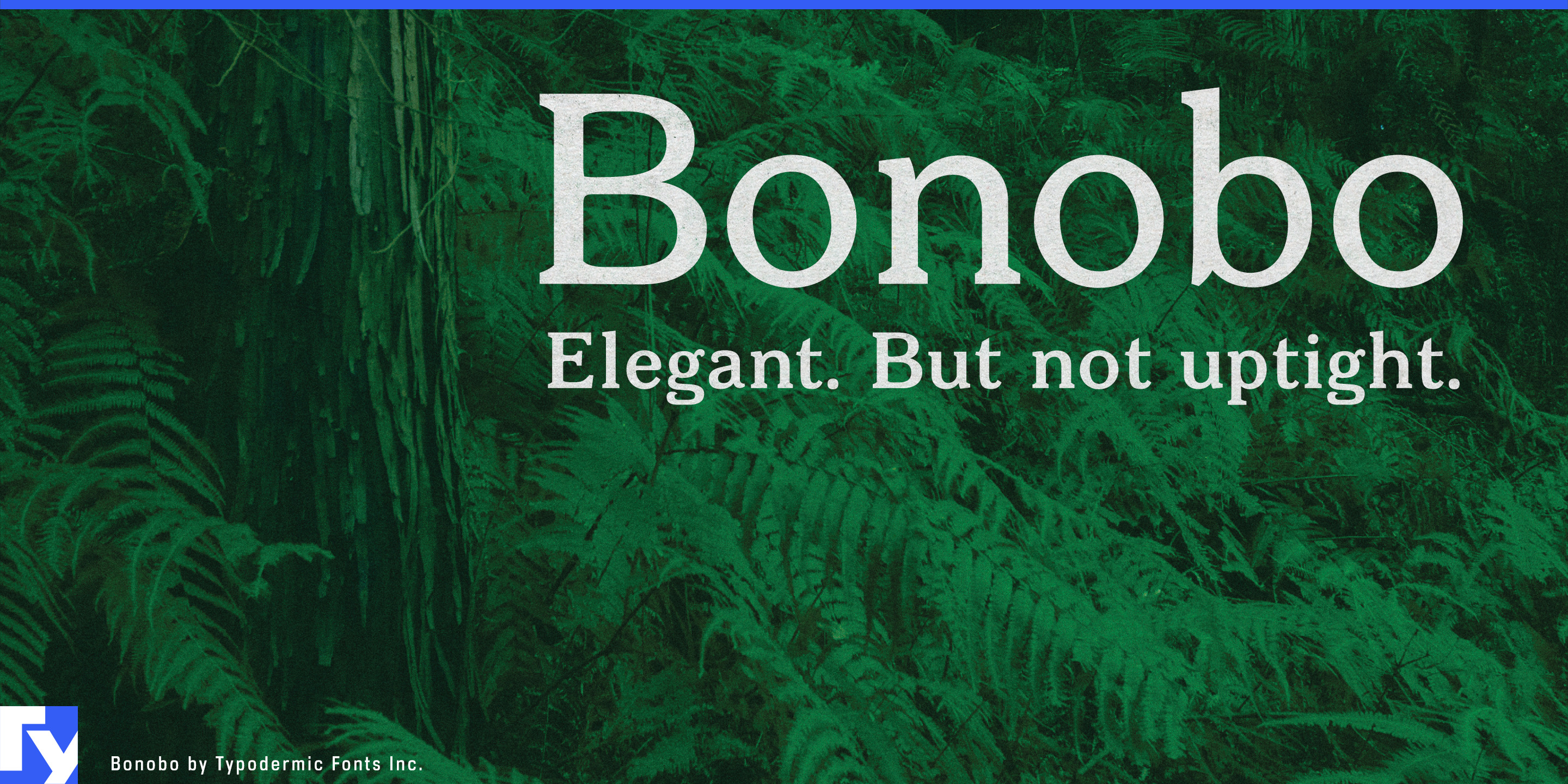 Bonobo specimen 1