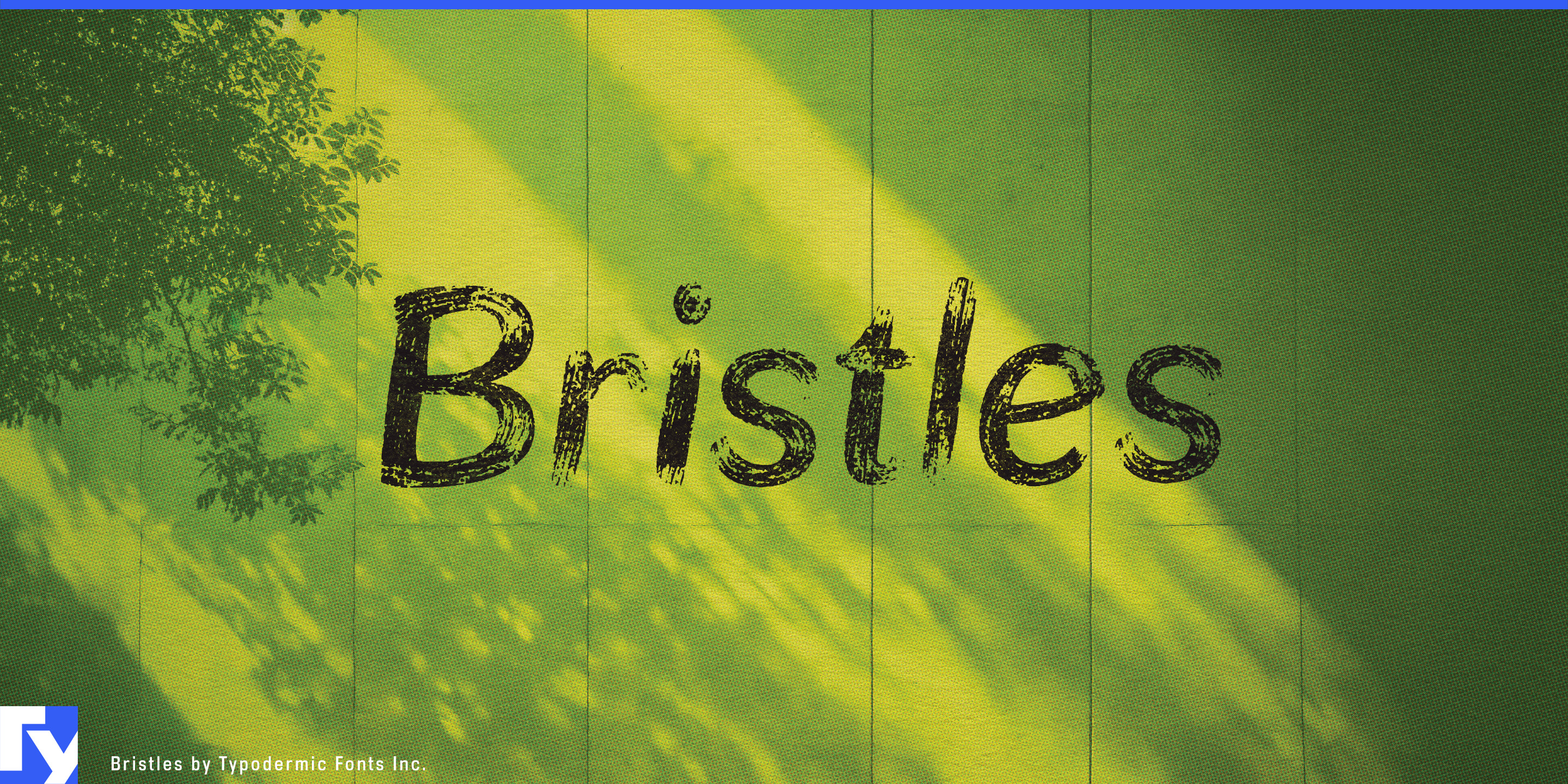 Bristles specimen 1