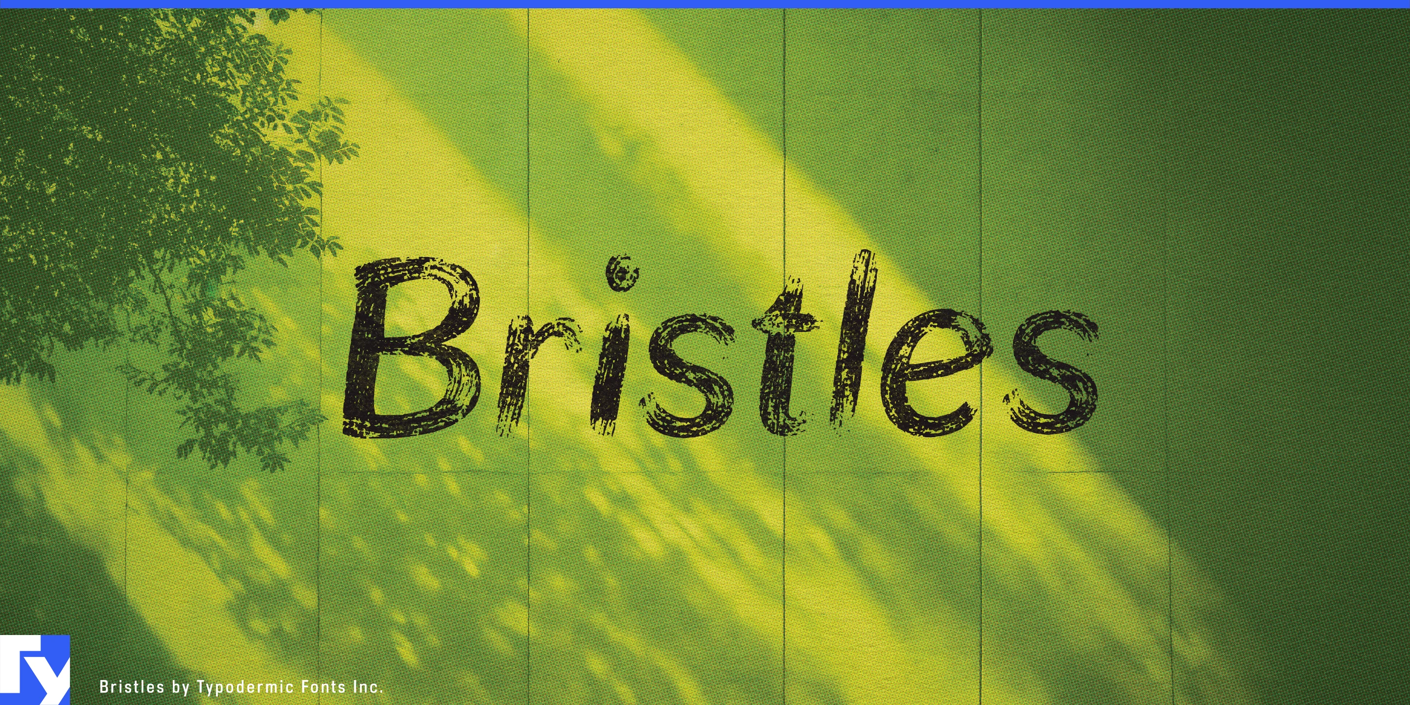 Bristles specimen 1