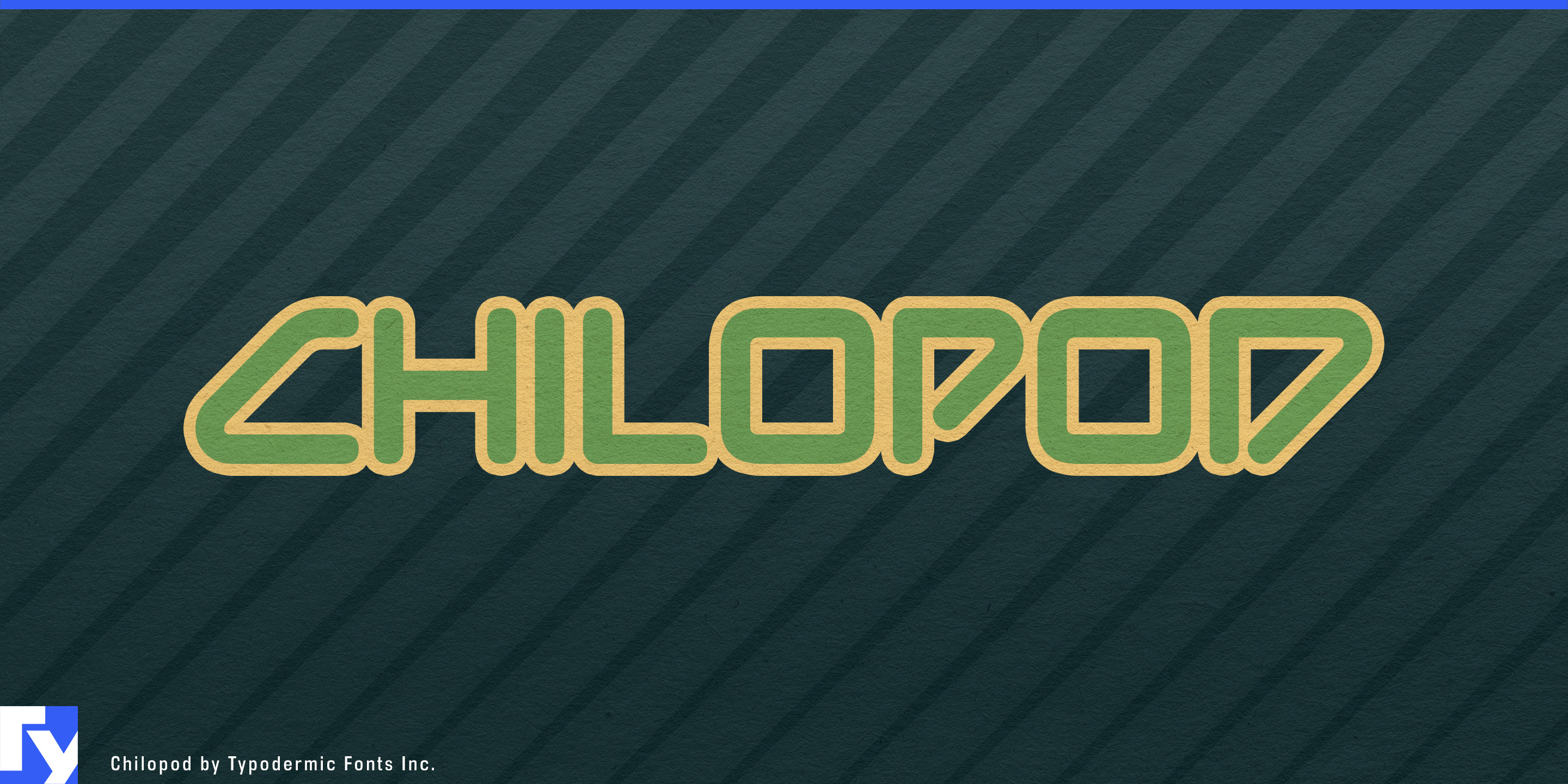 Chilopod specimen 1