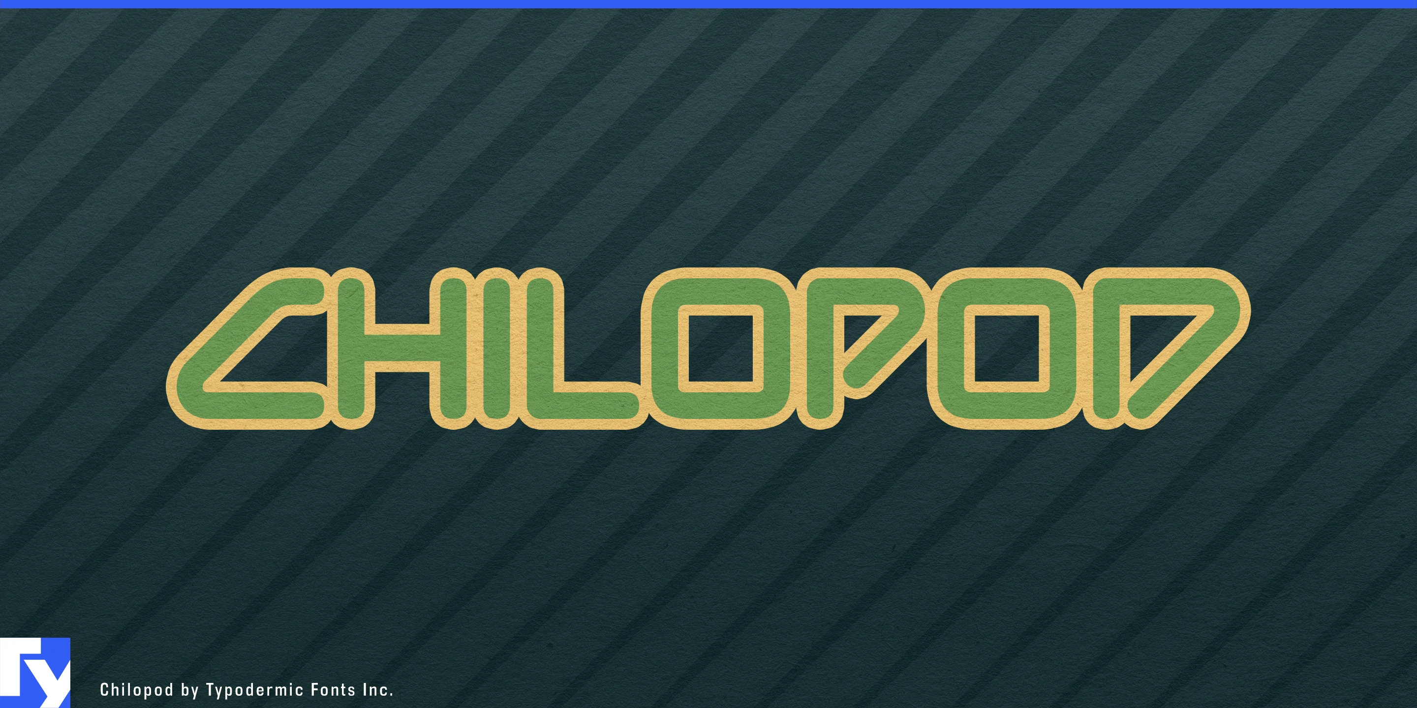 Muestra 1 de Chilopod