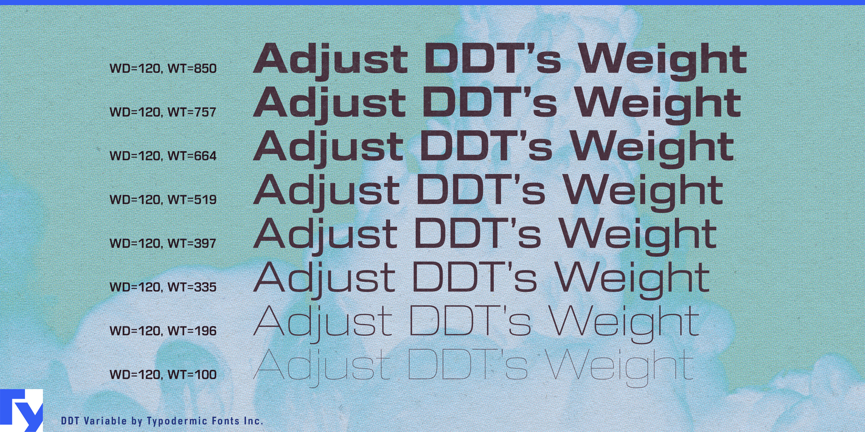 DDT specimen 9