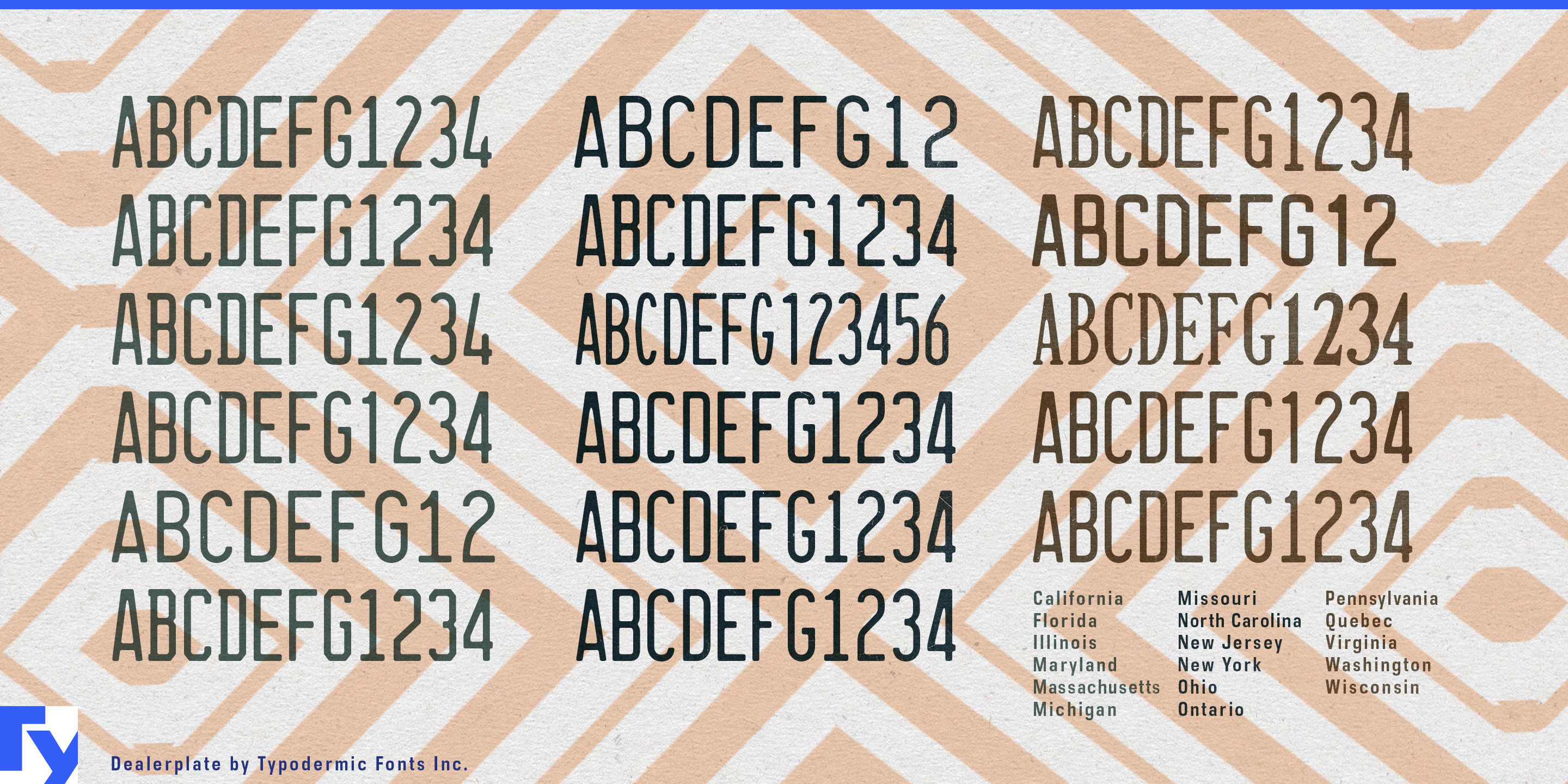Dealerplate specimen 4