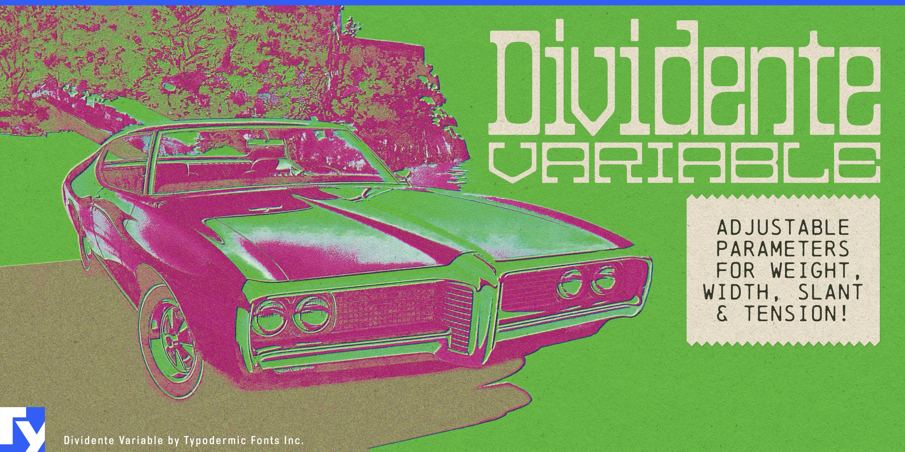 Muestra 8 de Dividente