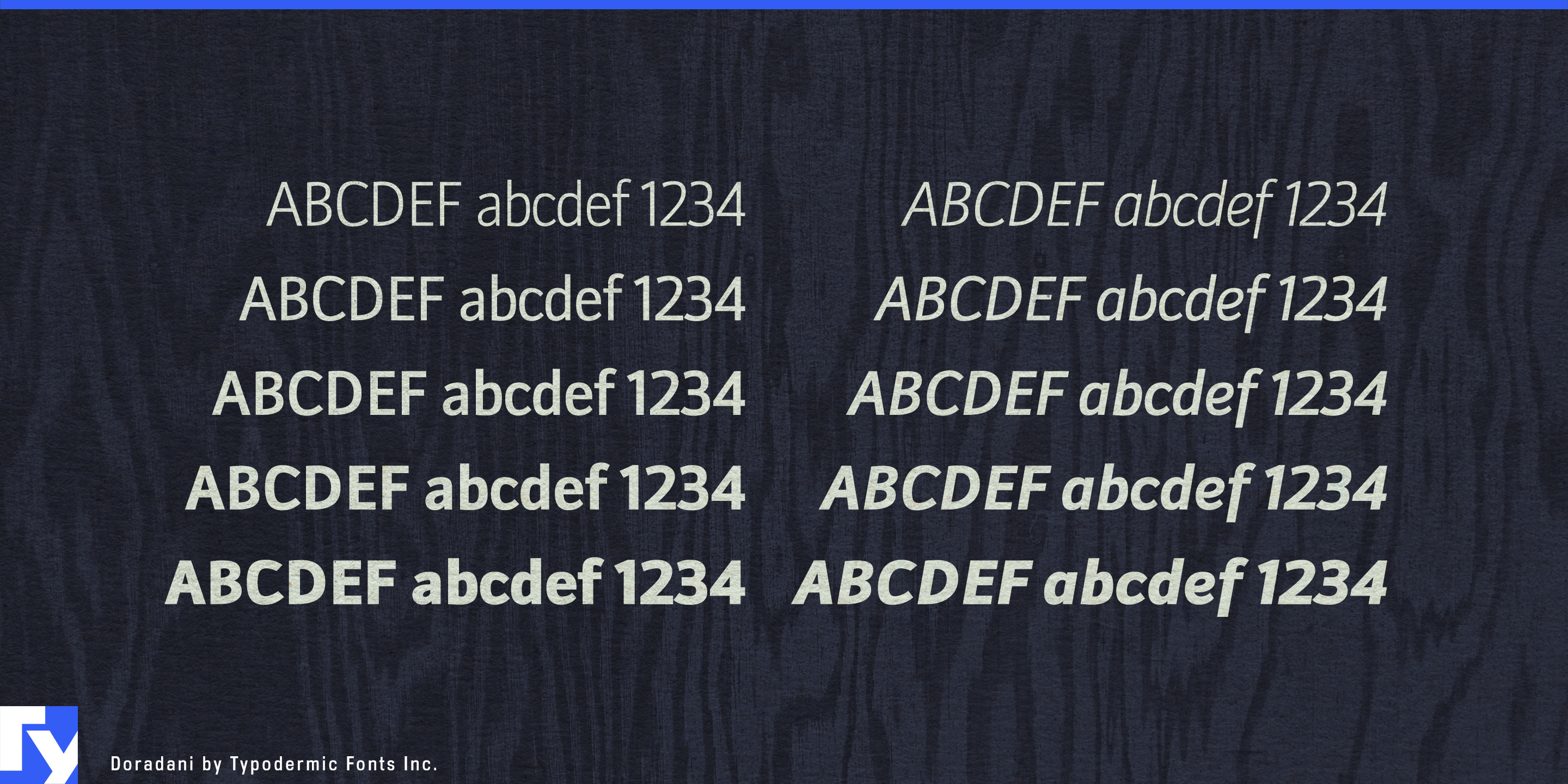 Doradani specimen 4