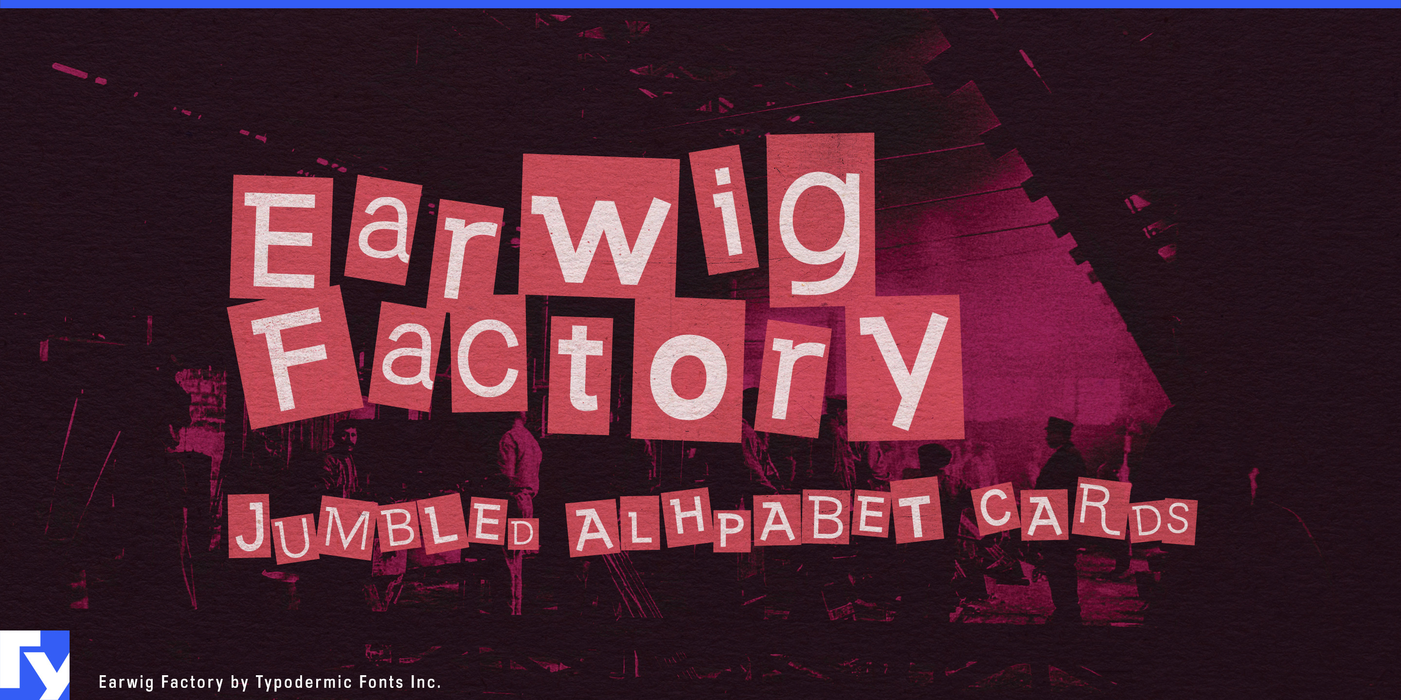 Earwig Factory specimen 1