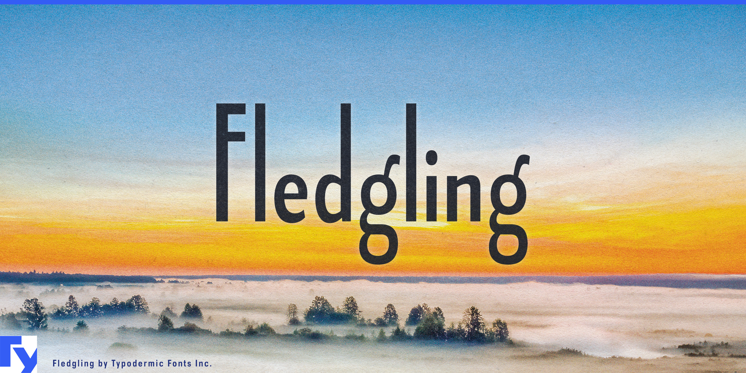 Fledgling specimen 1
