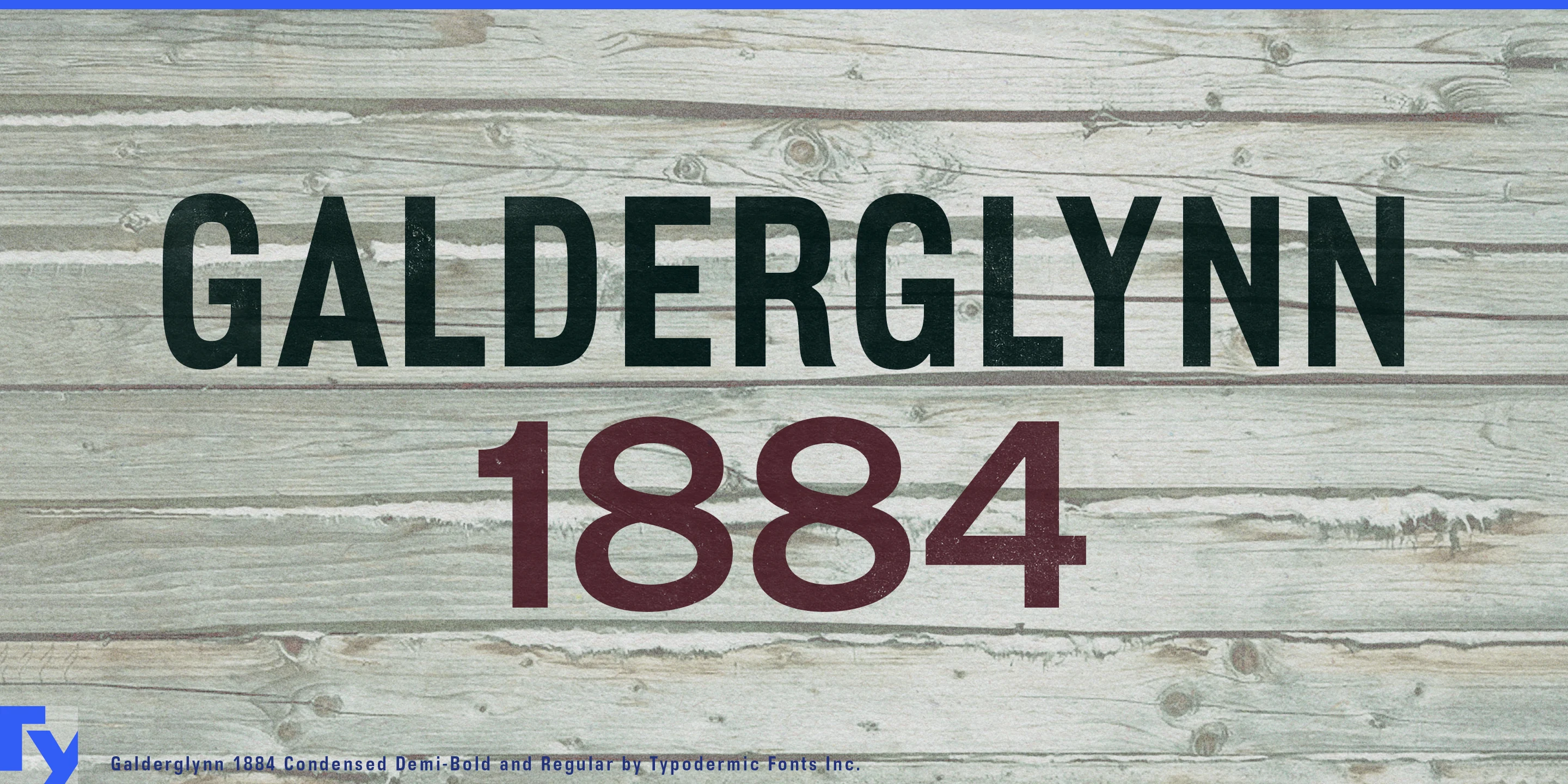Spécimen 1 de Galderglynn 1884