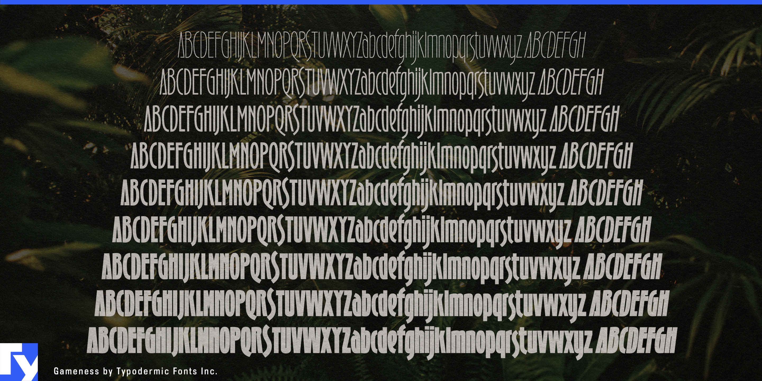 Gameness specimen 4