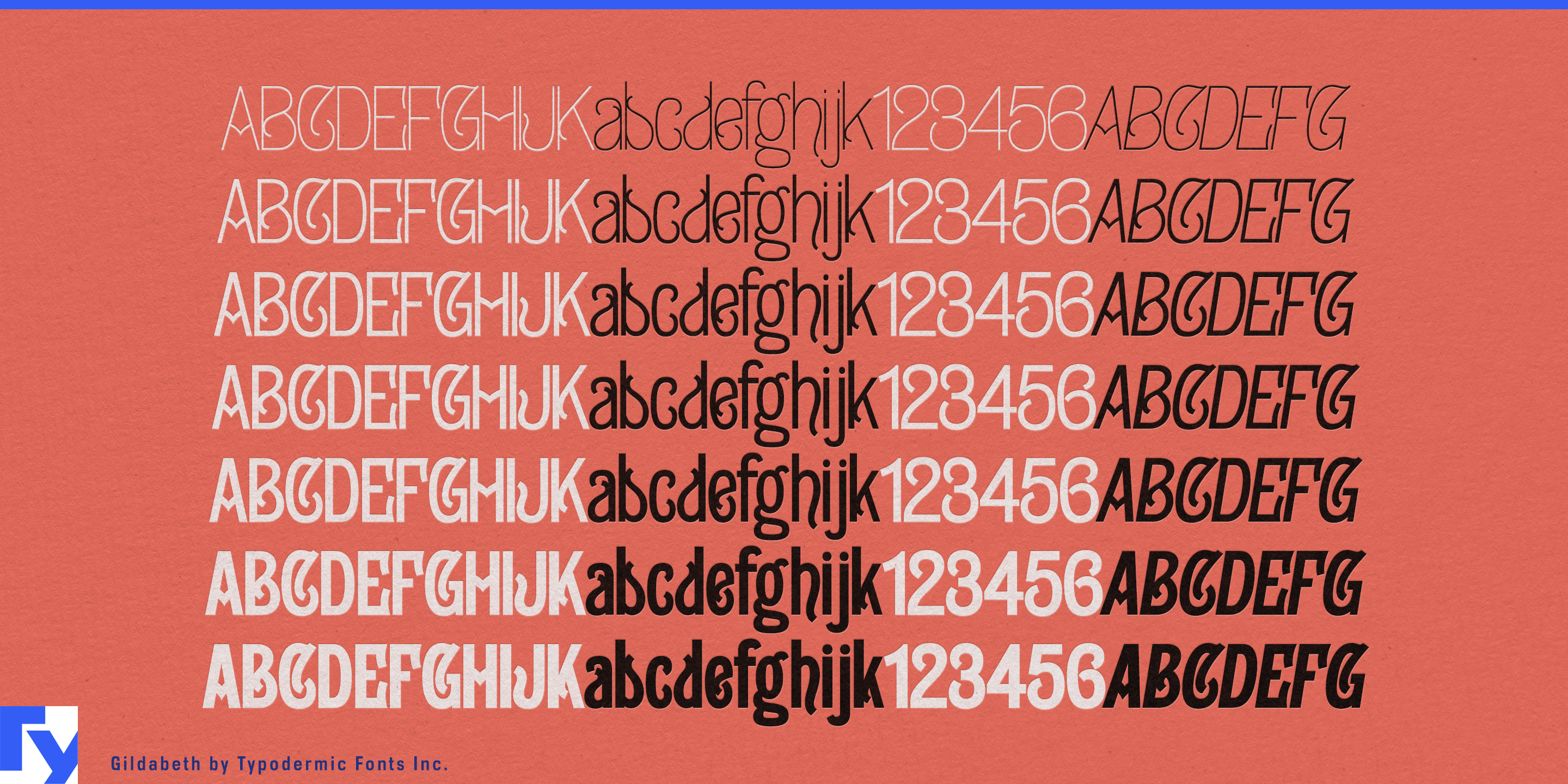 Gildabeth specimen 3