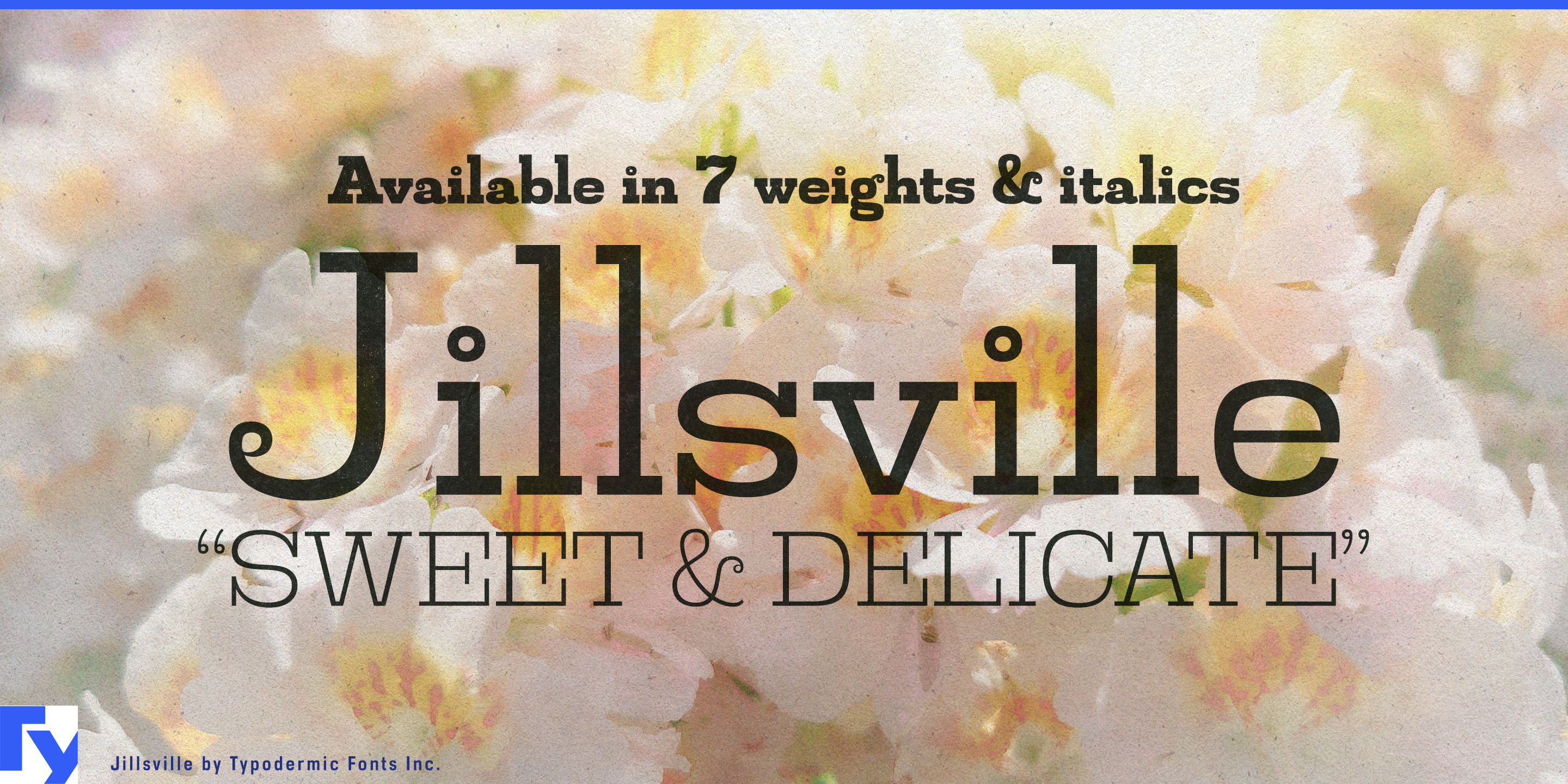 Jillsville specimen 1