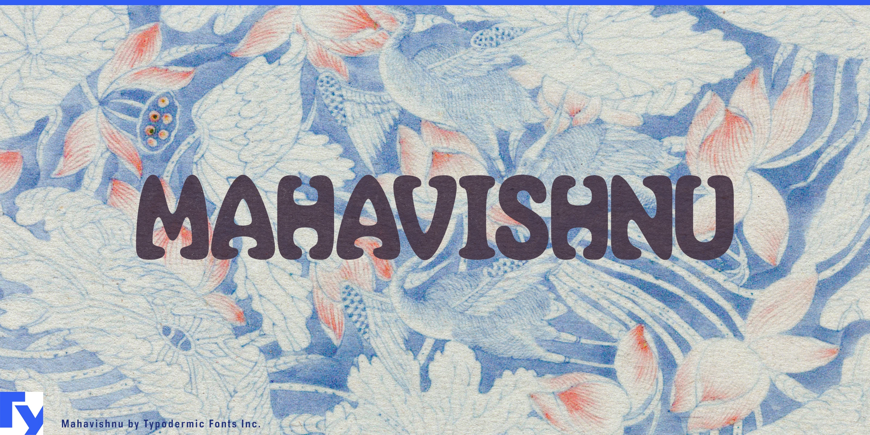Muestra 1 de Mahavishnu