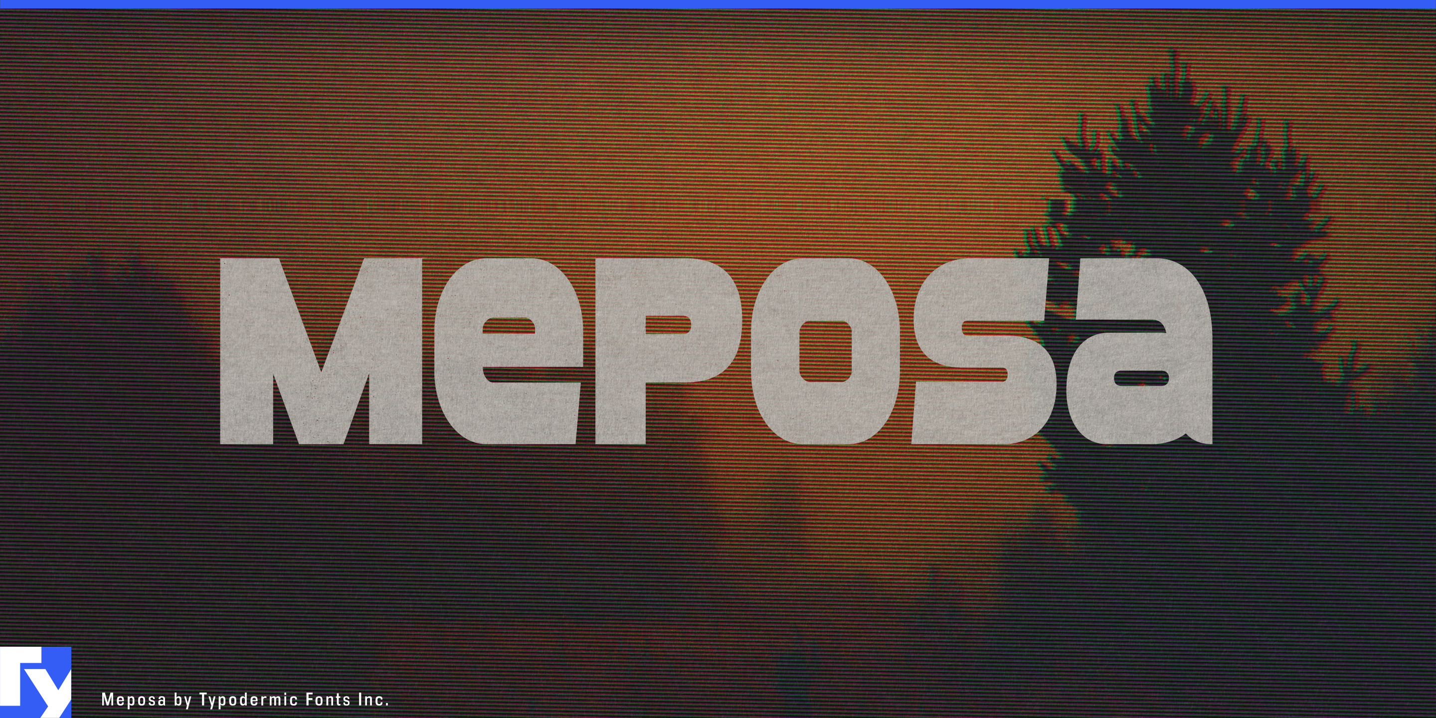 Meposa specimen 1