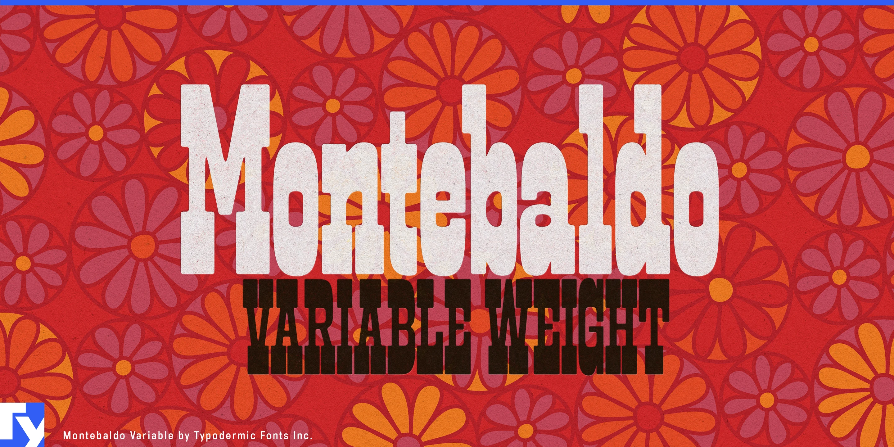 Montebaldo specimen 8