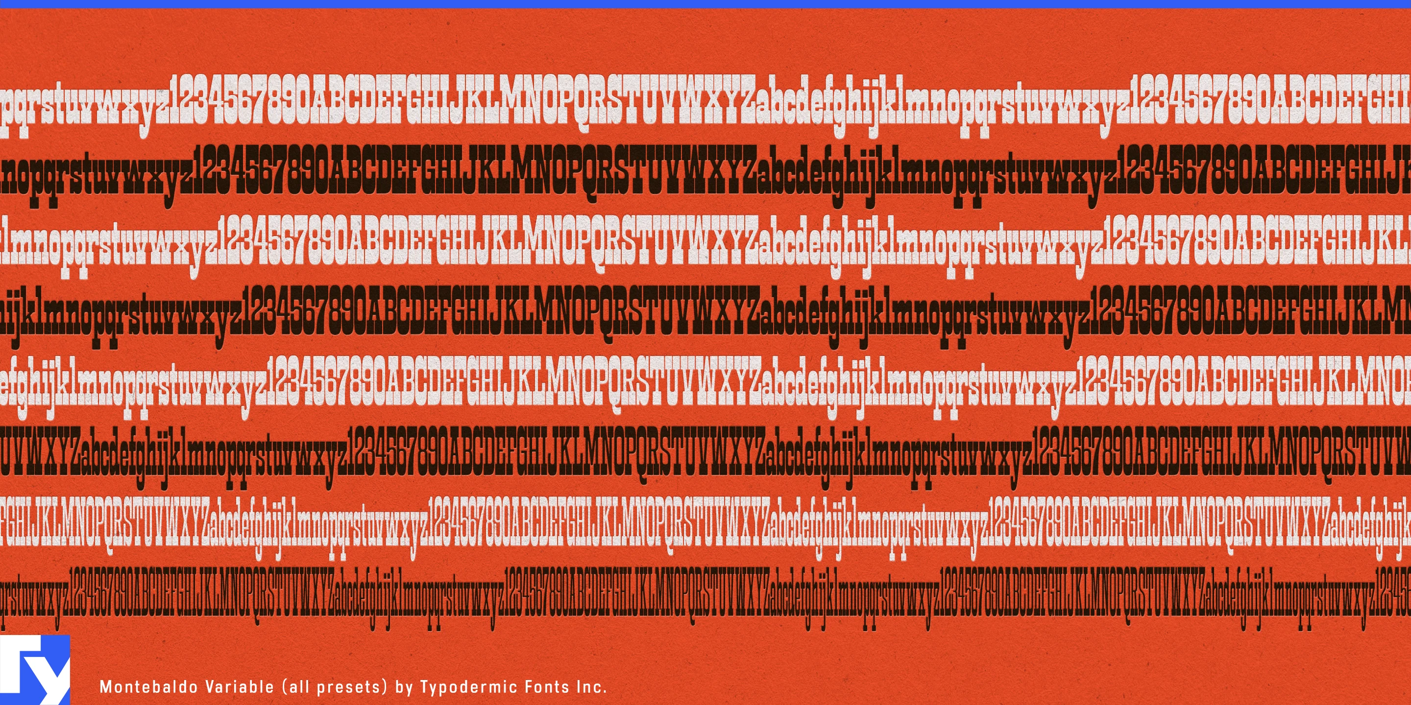 Montebaldo specimen 11