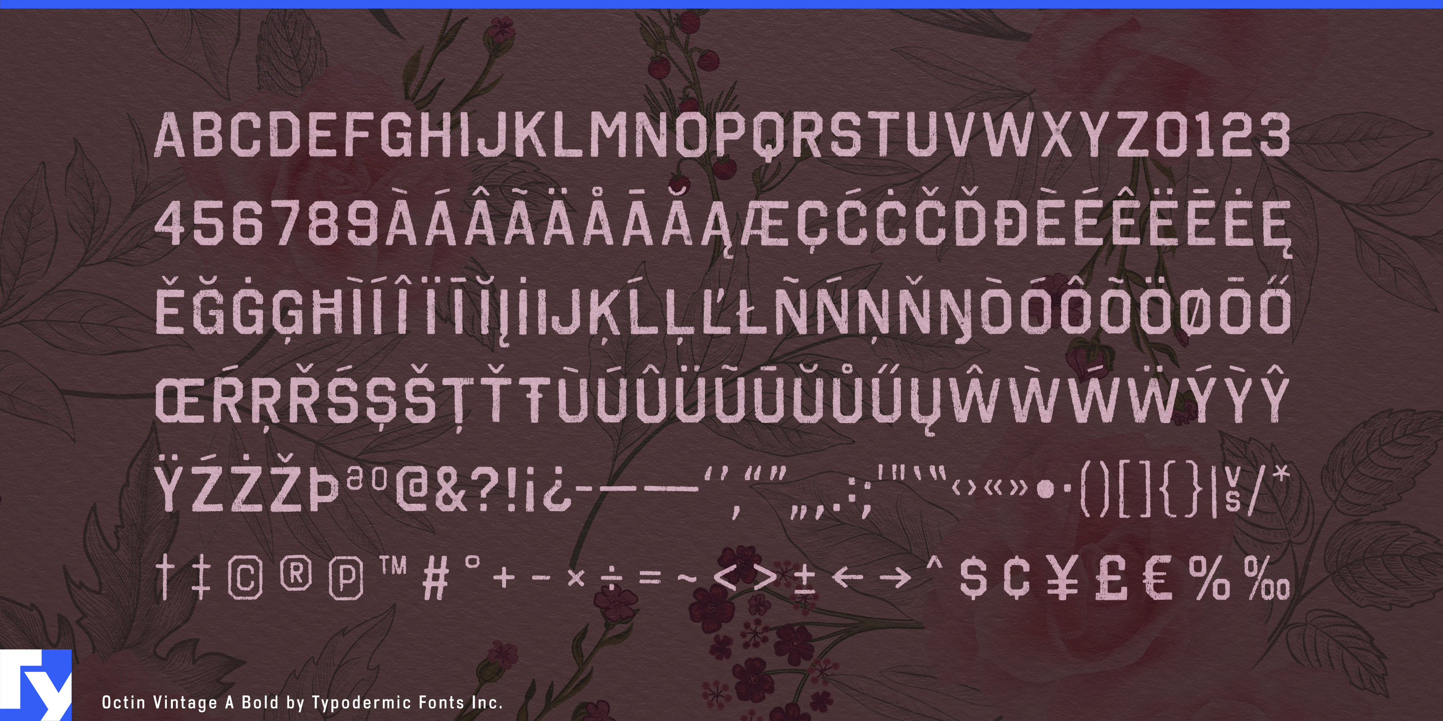 Octin Vintage specimen 5
