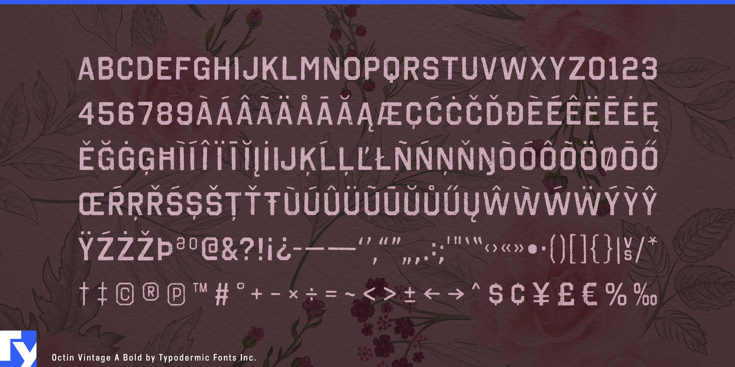 Octin Vintage specimen 5