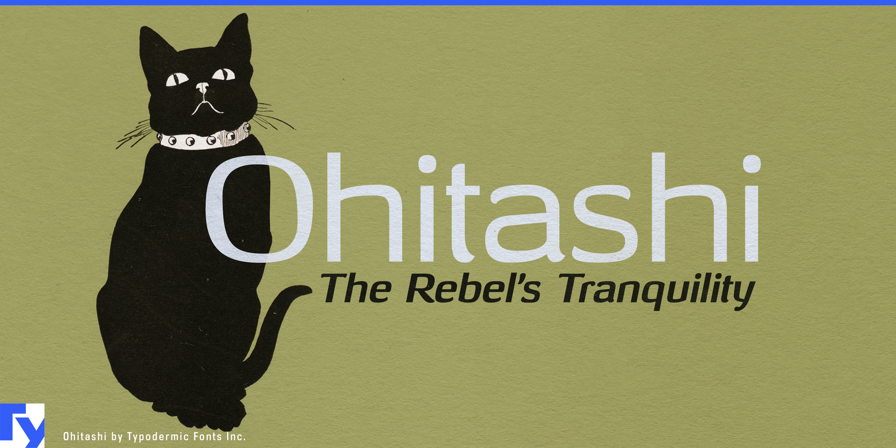Ohitashi specimen 1