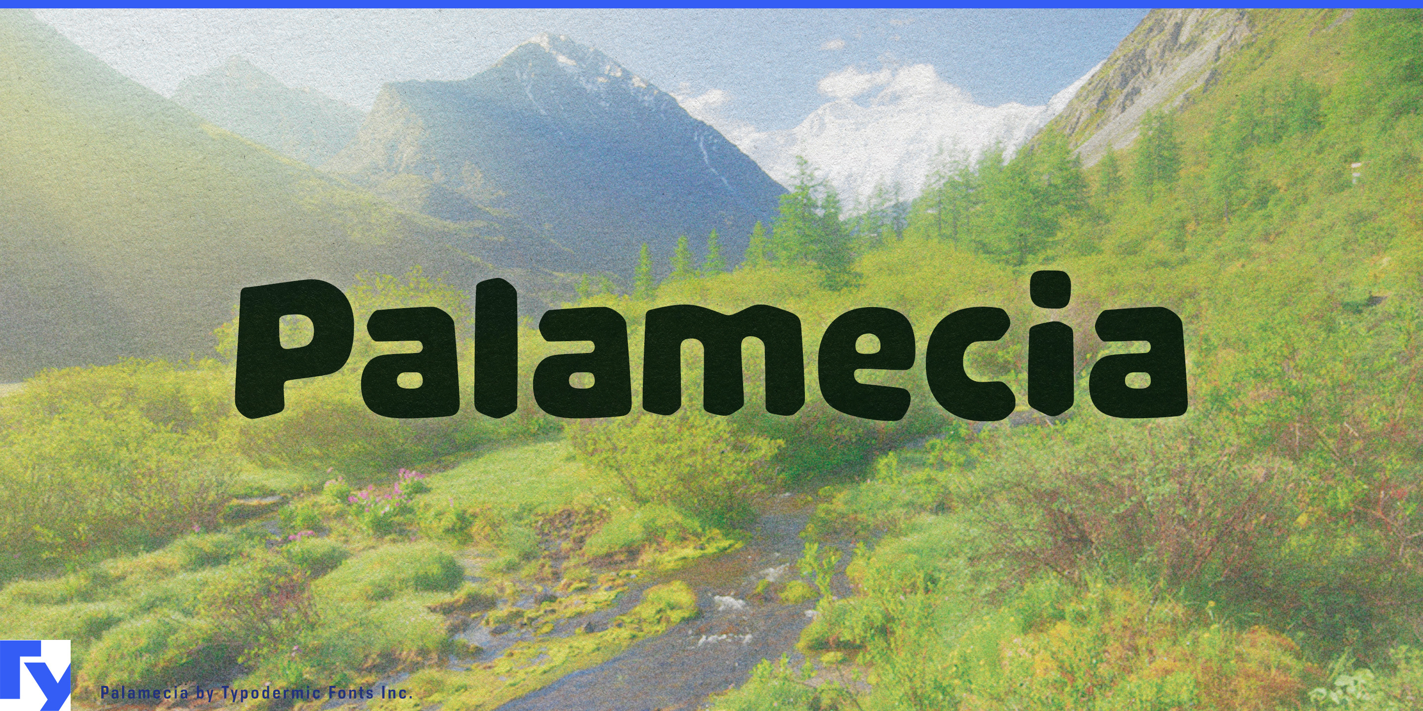 Palamecia specimen 1