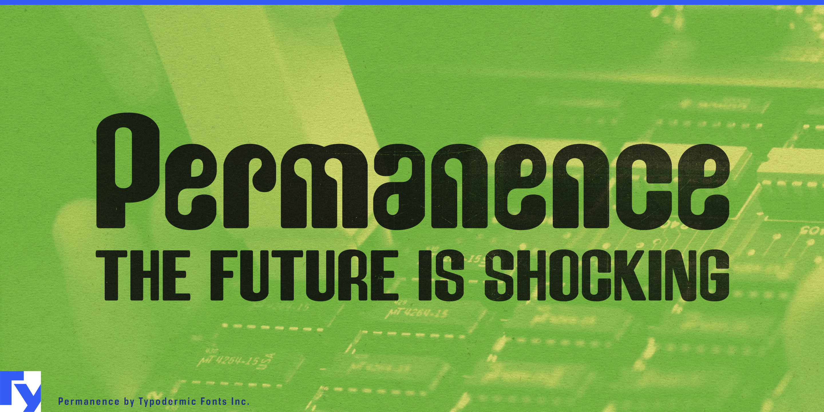 Permanence specimen 1