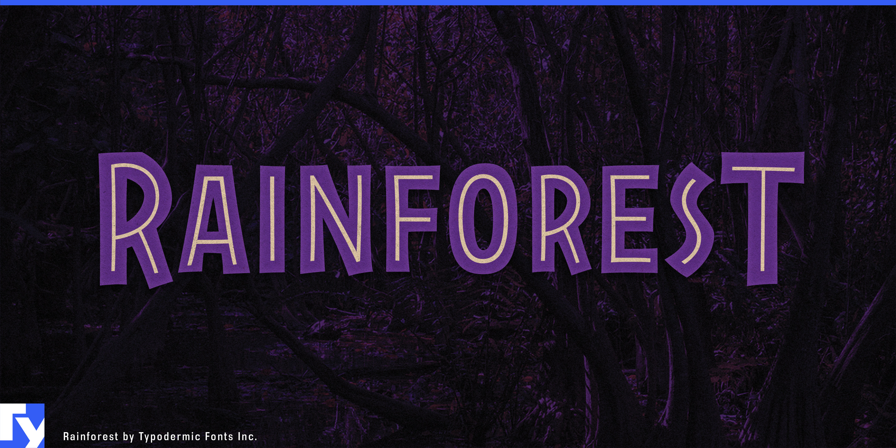 Rainforest specimen 1