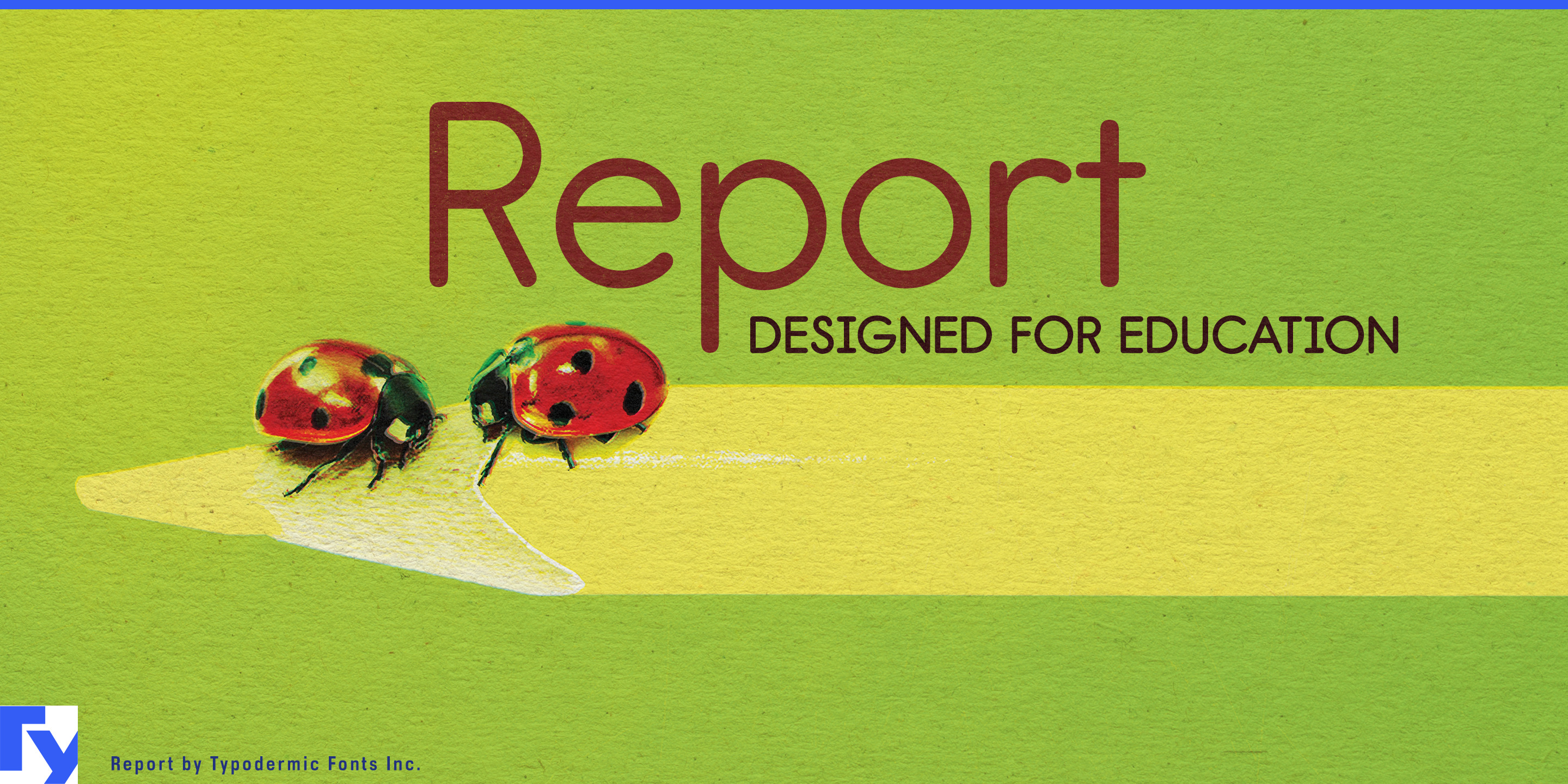 Report specimen 1