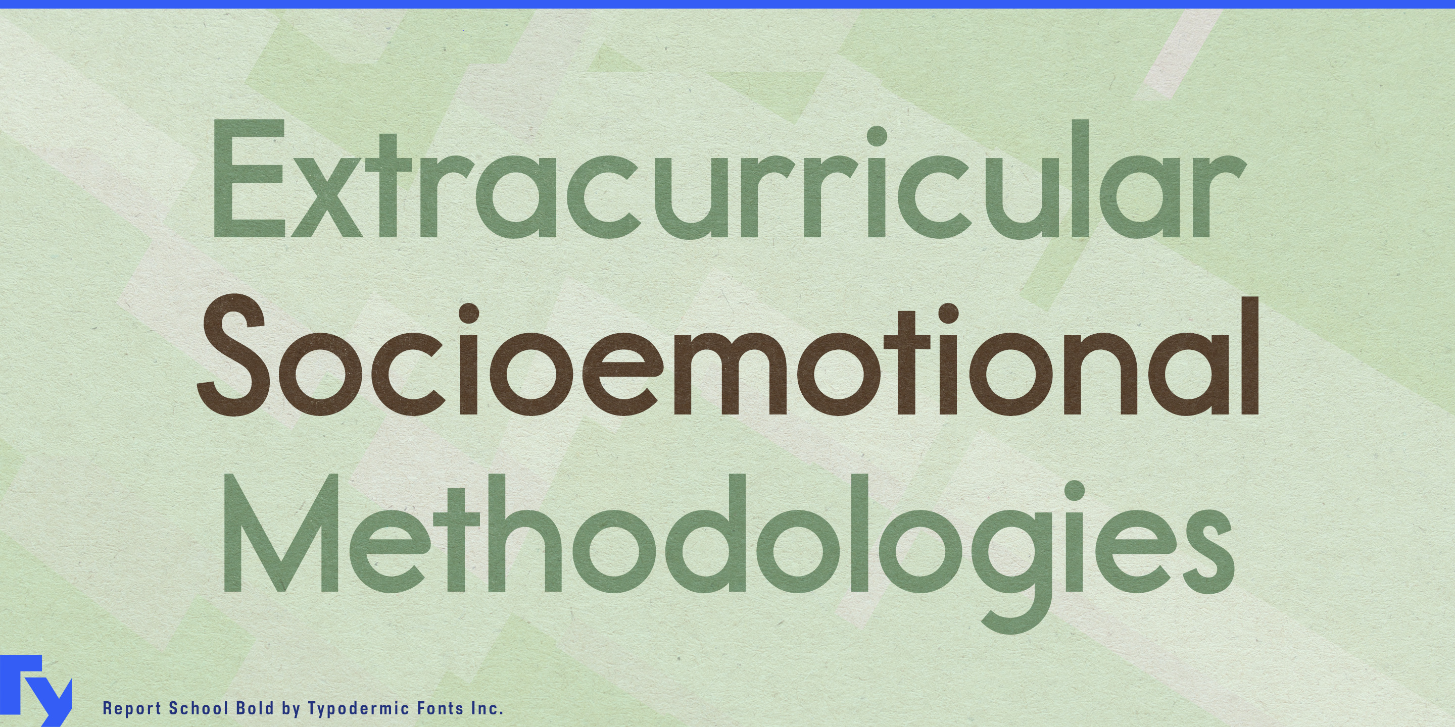 Report School specimen 2