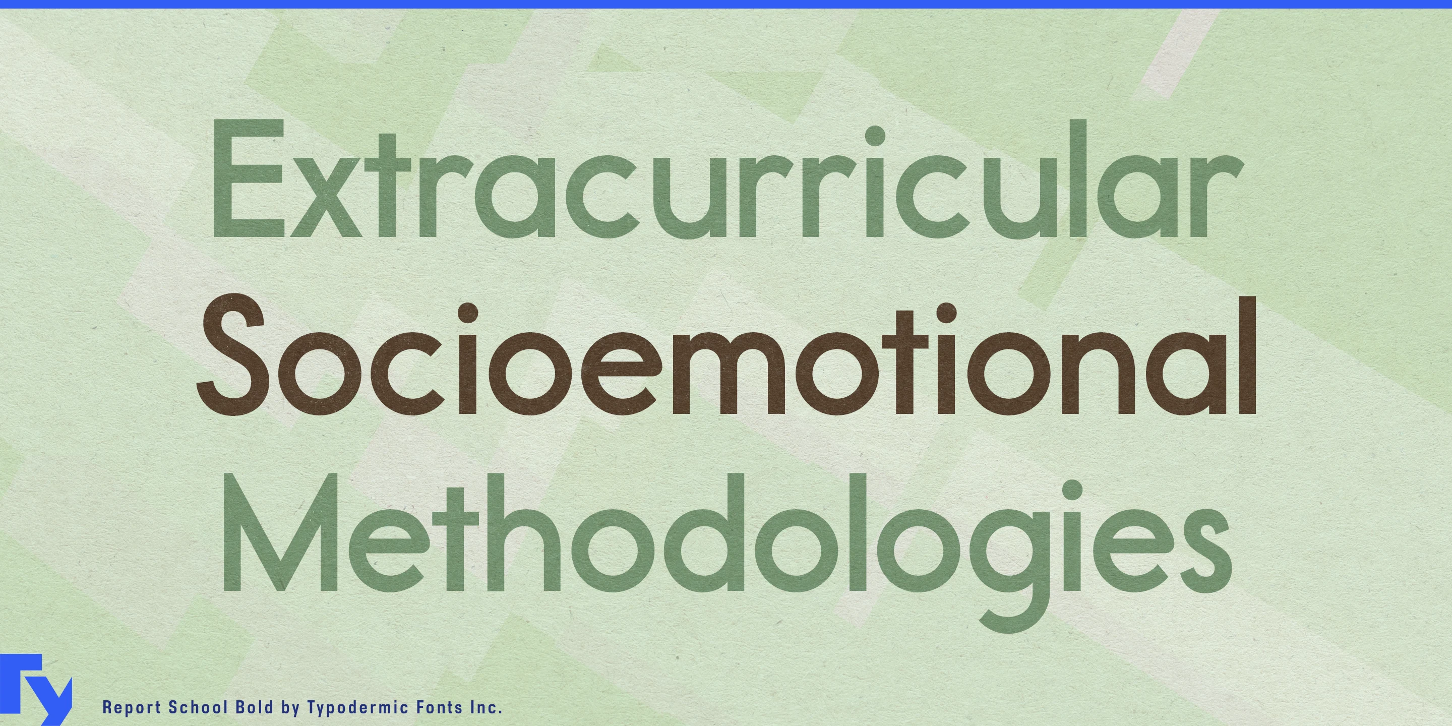 Report School specimen 2