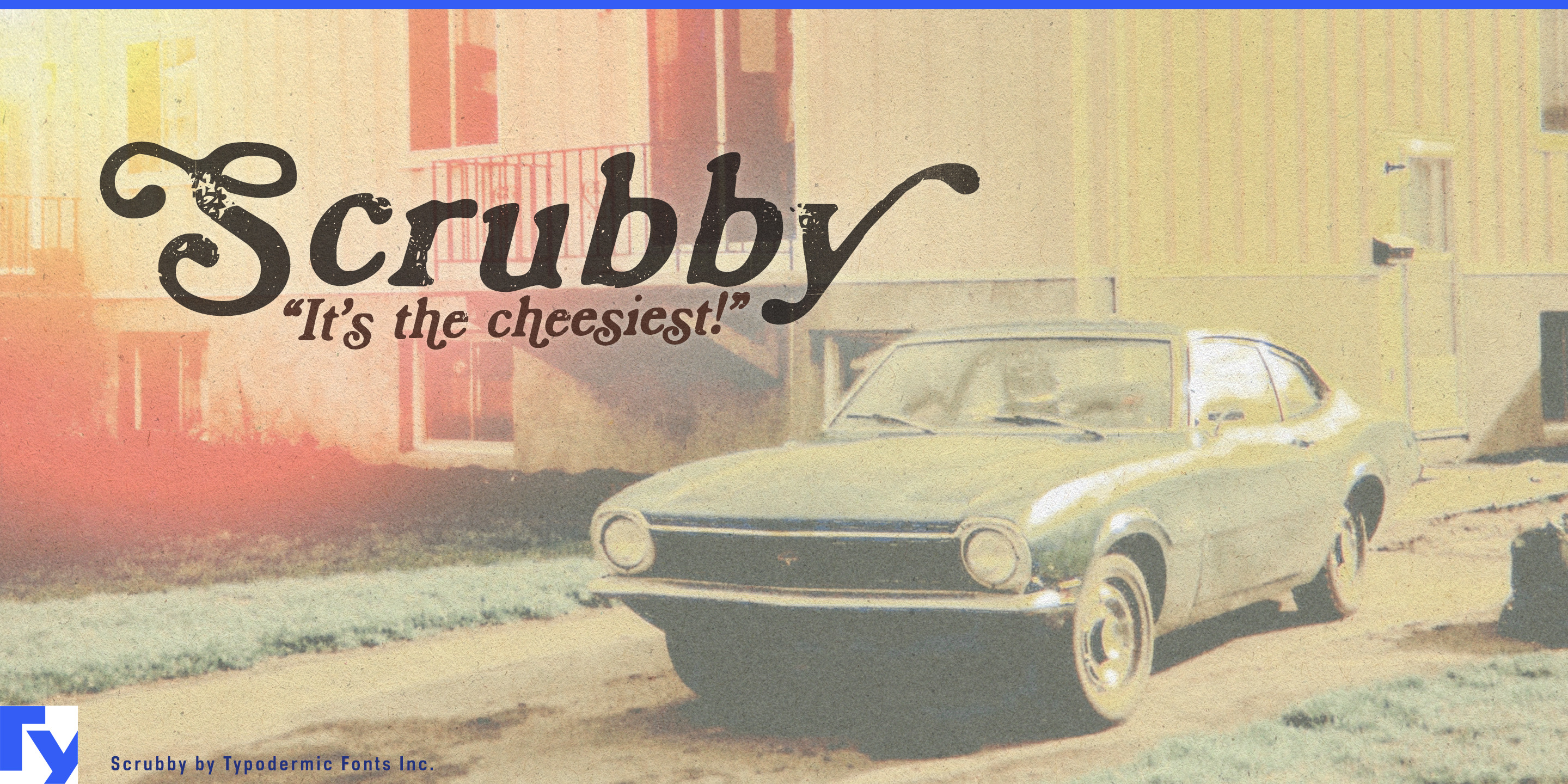 Scrubby specimen 1