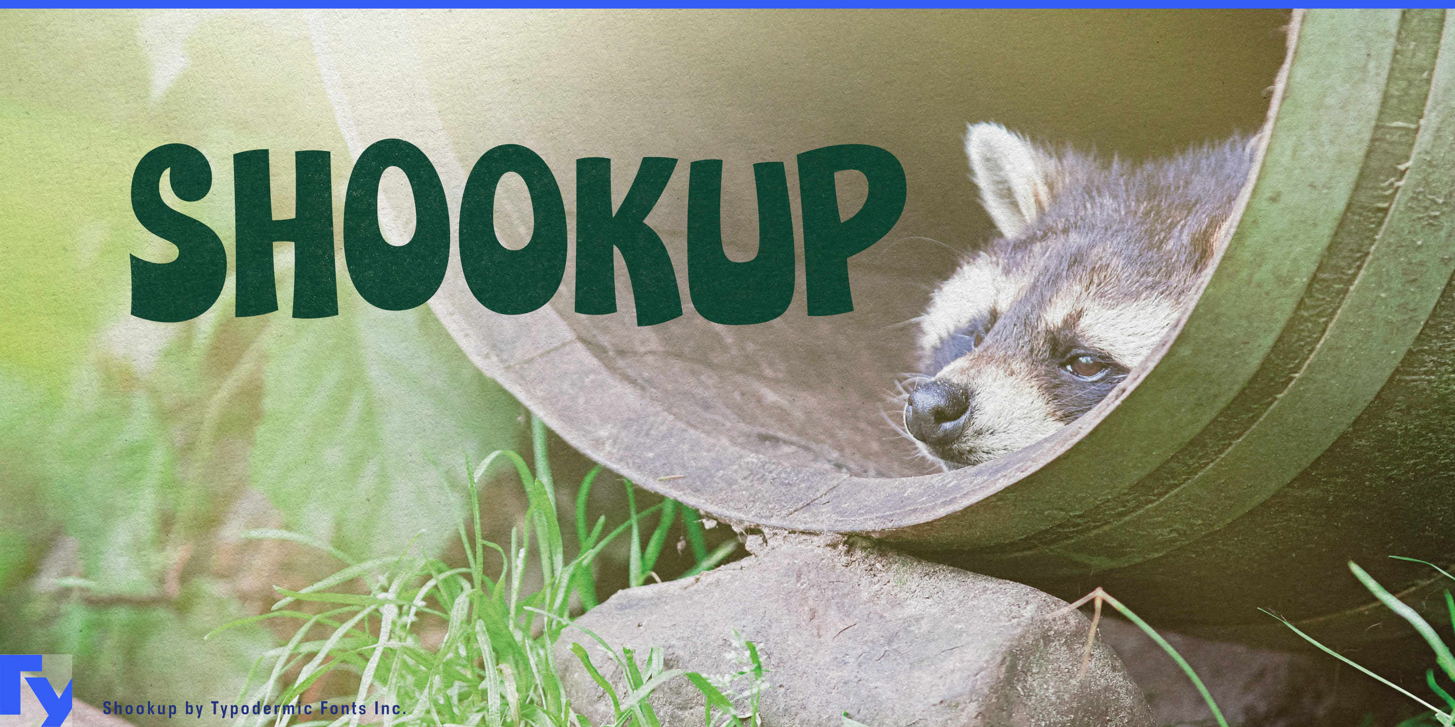 Shookup specimen 1