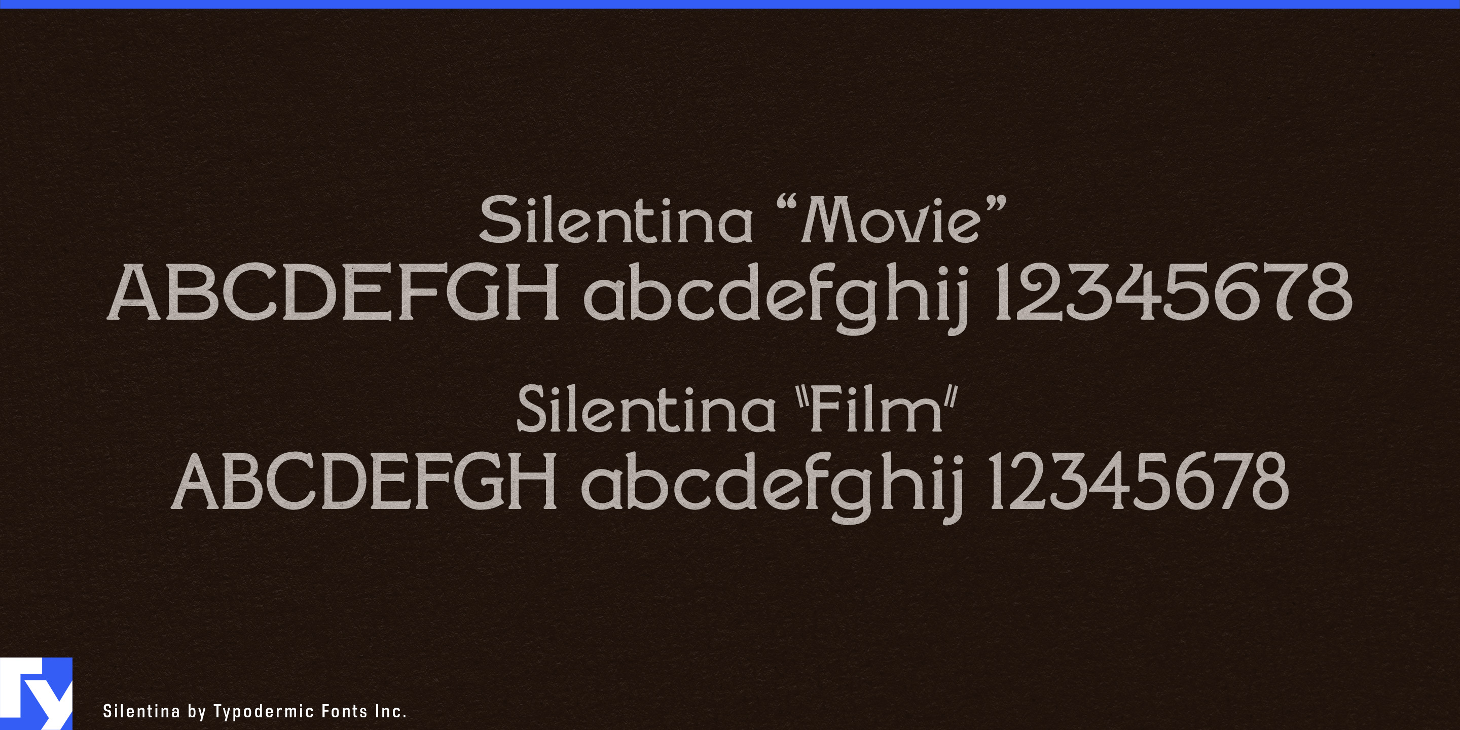 Silentina specimen 4