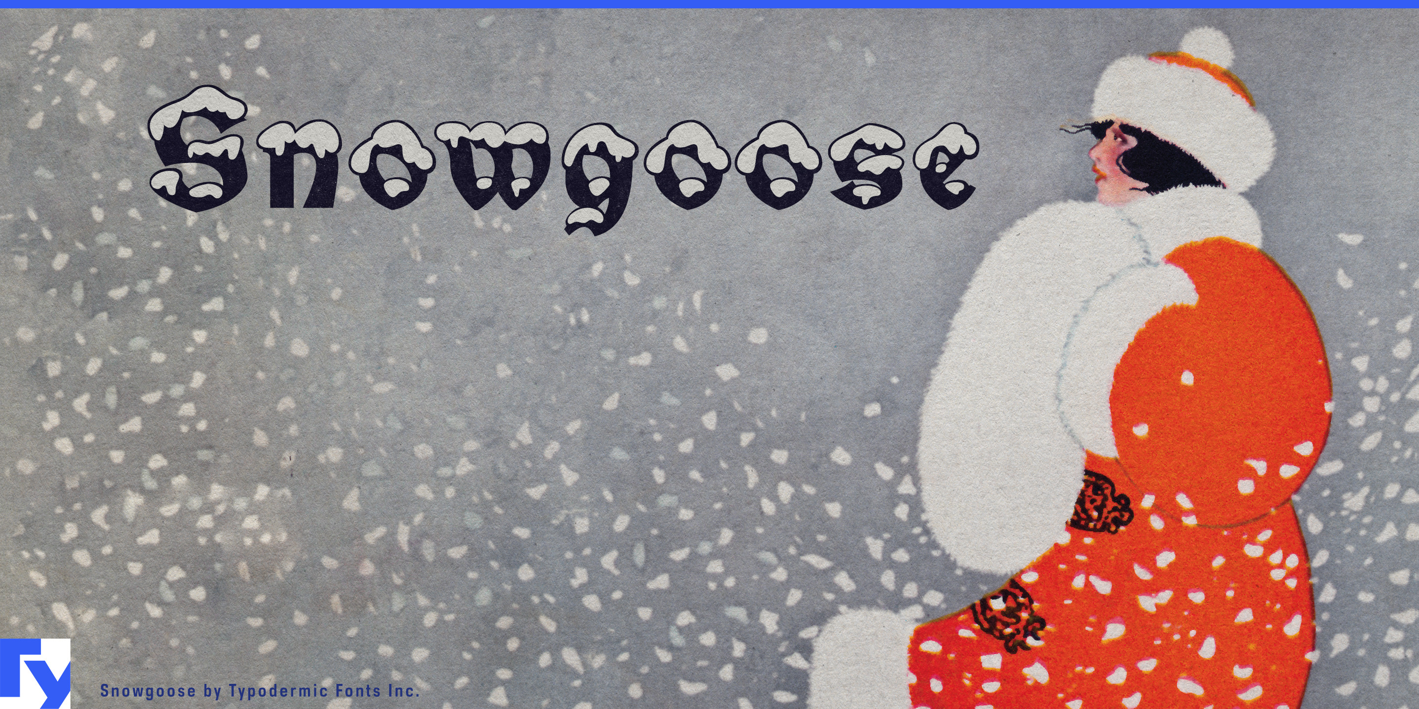 Snowgoose specimen 1