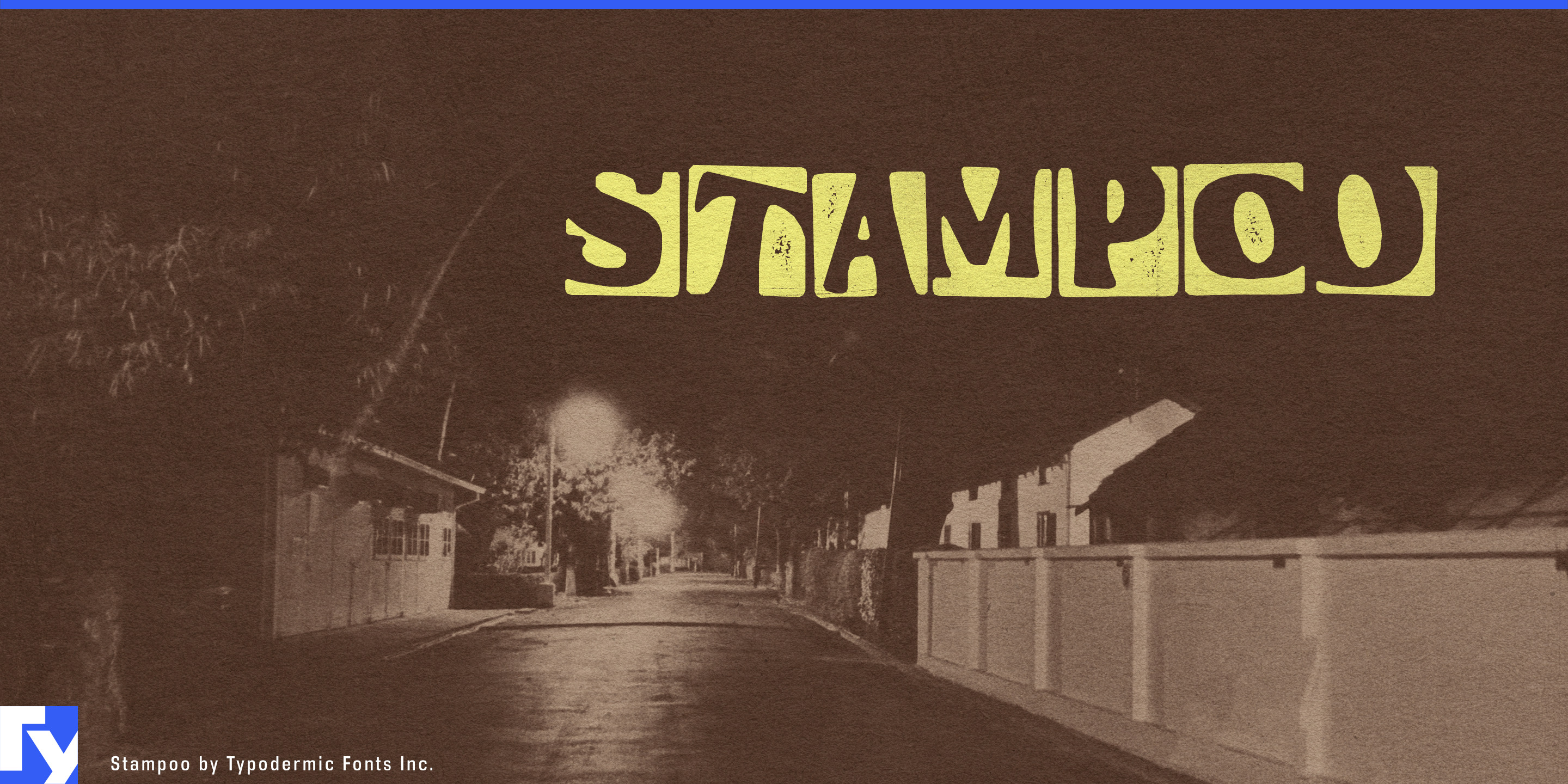 Stampoo specimen 1