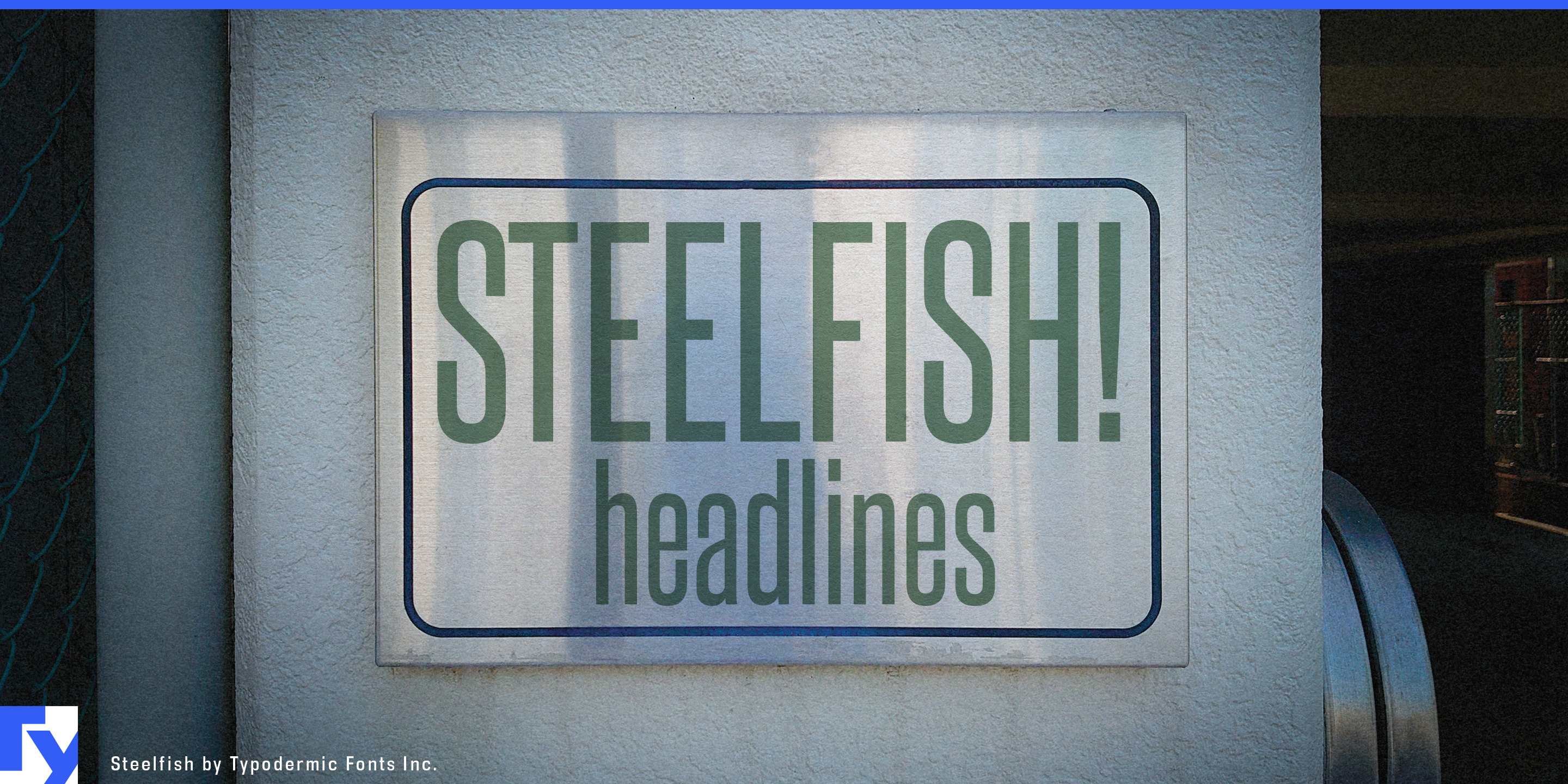 Spécimen 1 de Steelfish