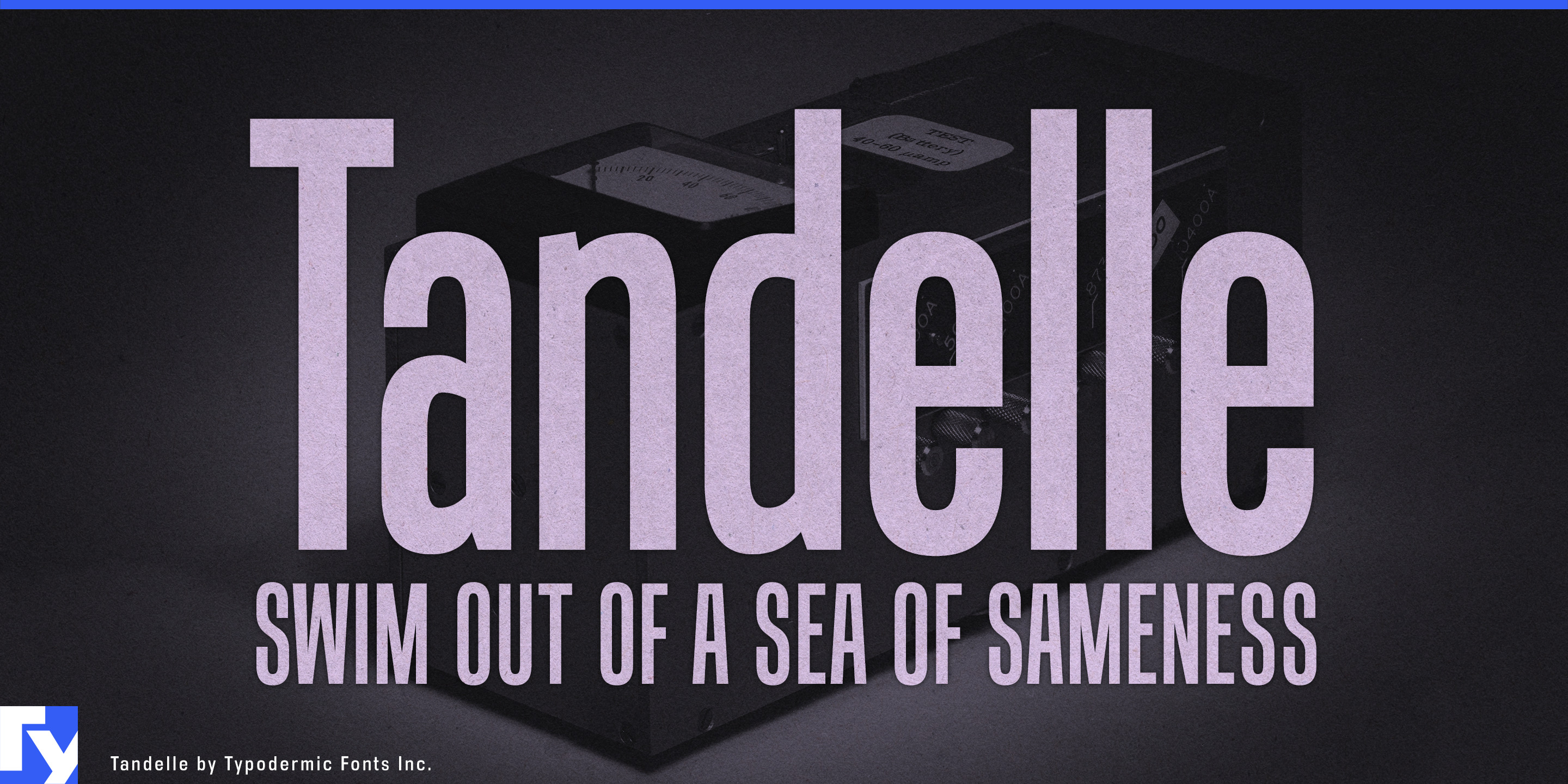 Tandelle specimen 1
