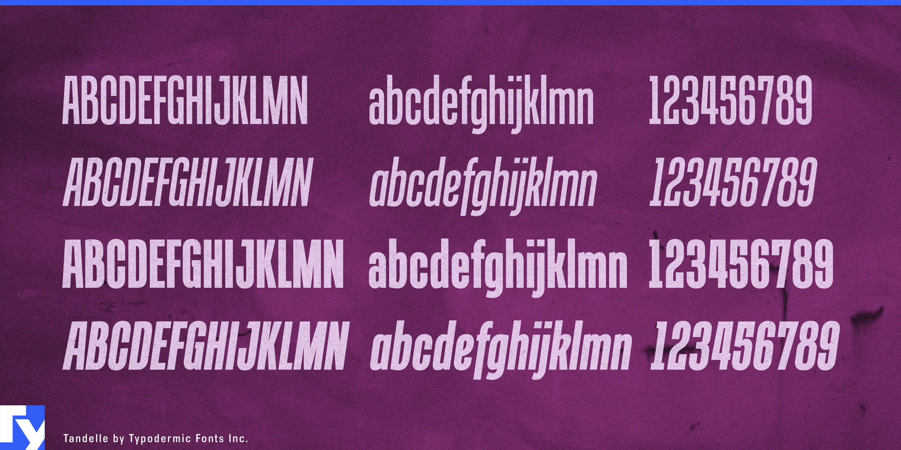 Tandelle specimen 4