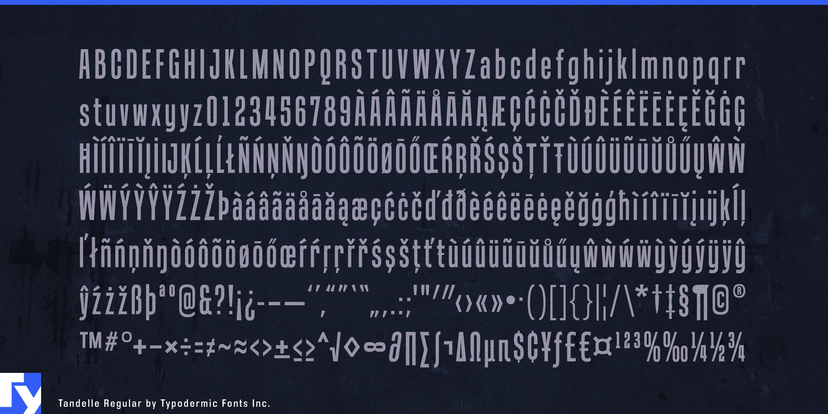 Tandelle specimen 5