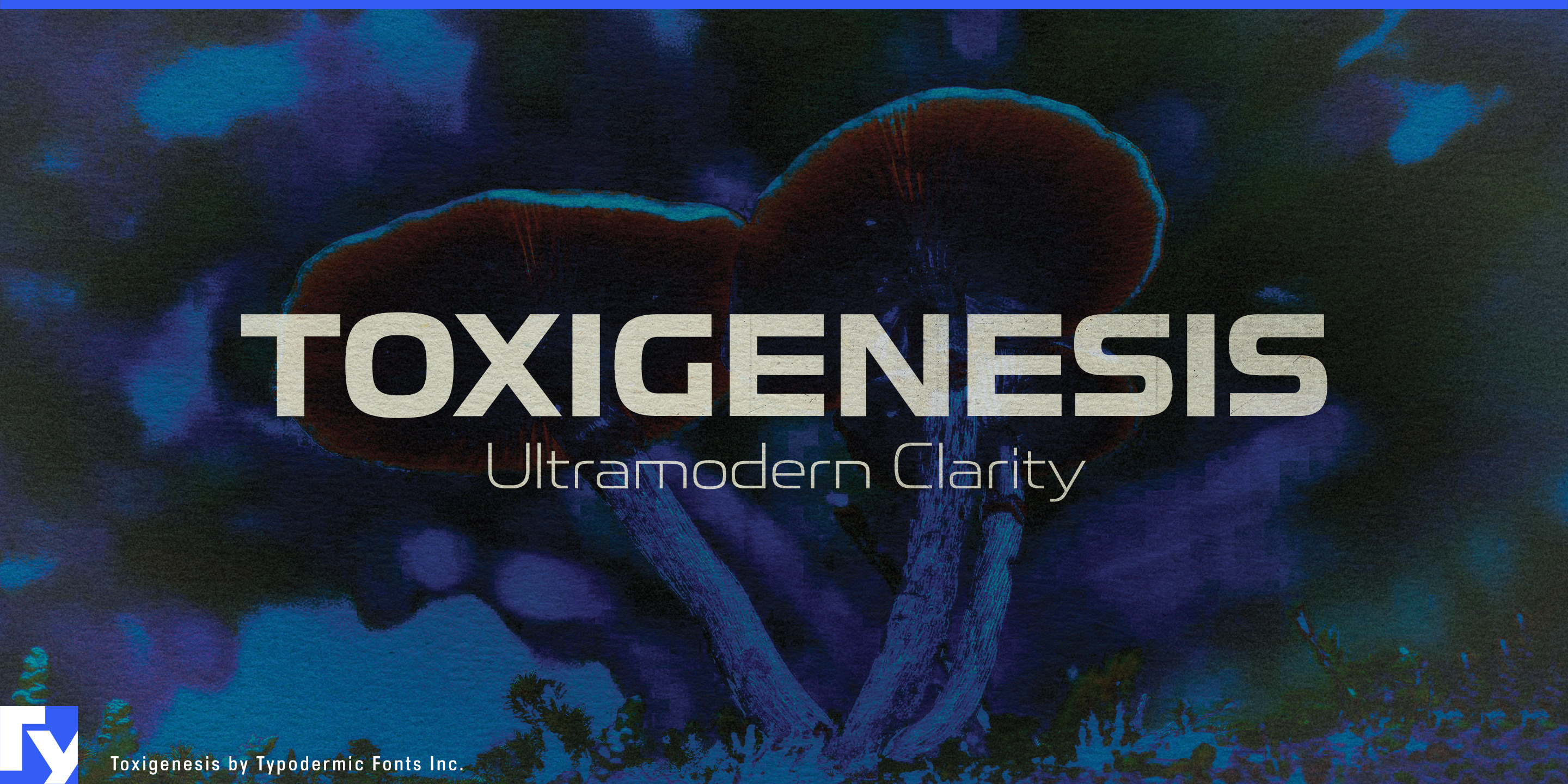Toxigenesis specimen 1