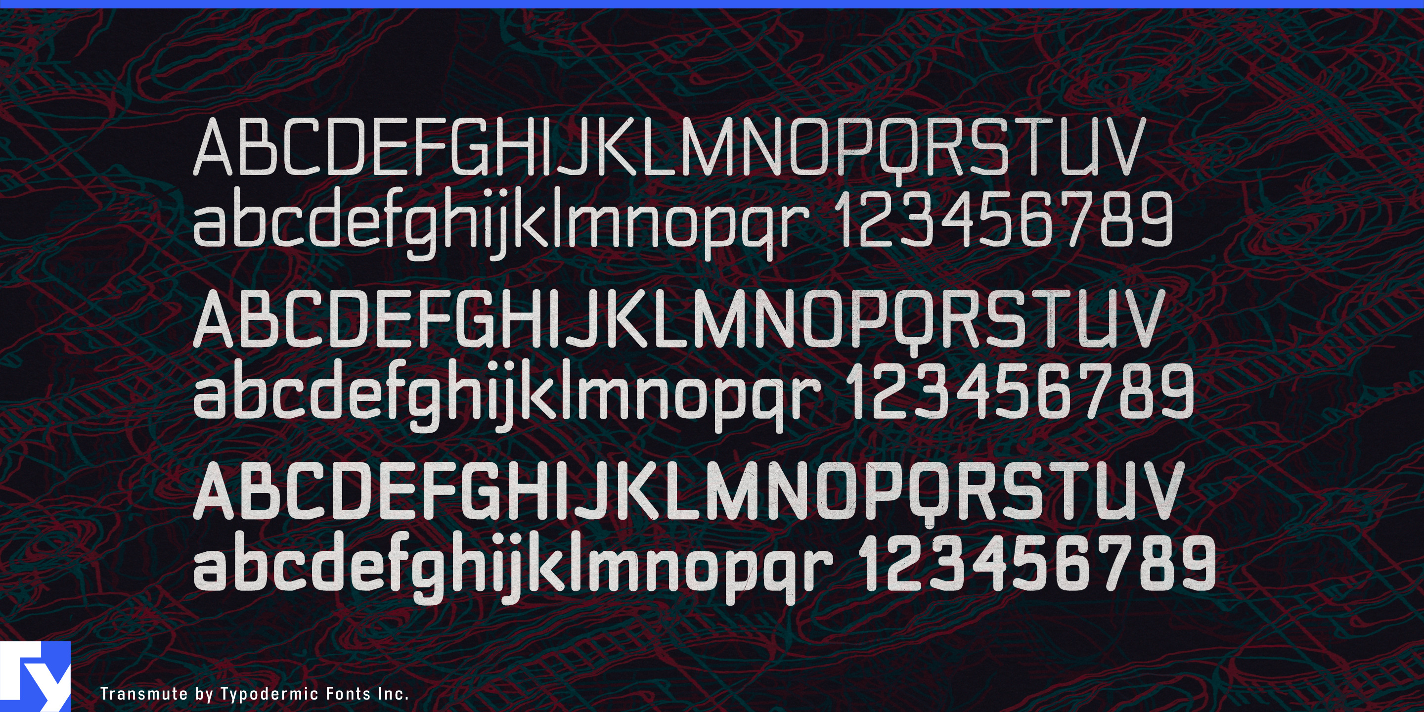 Transmute specimen 4