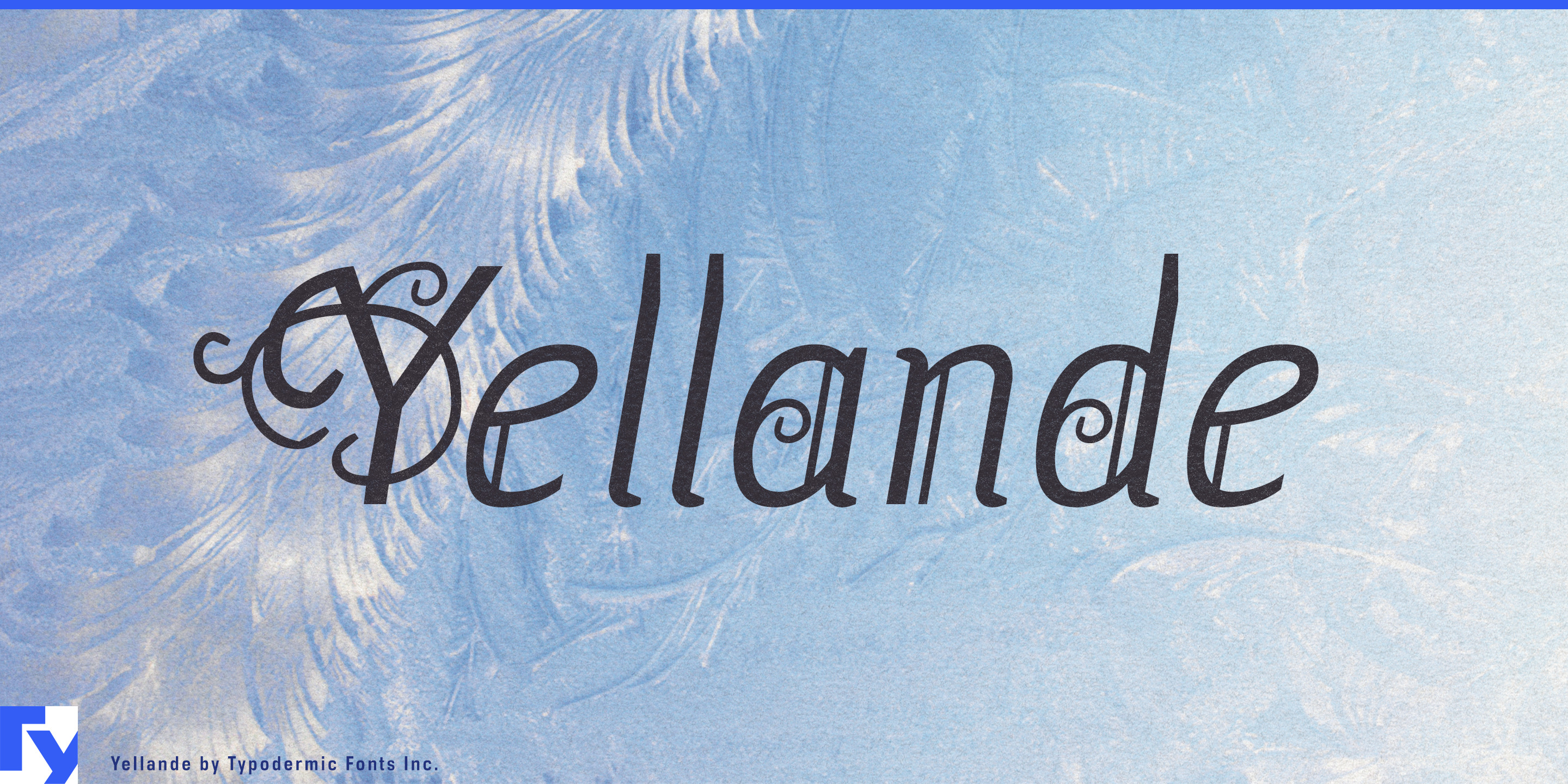 Yellande specimen 1