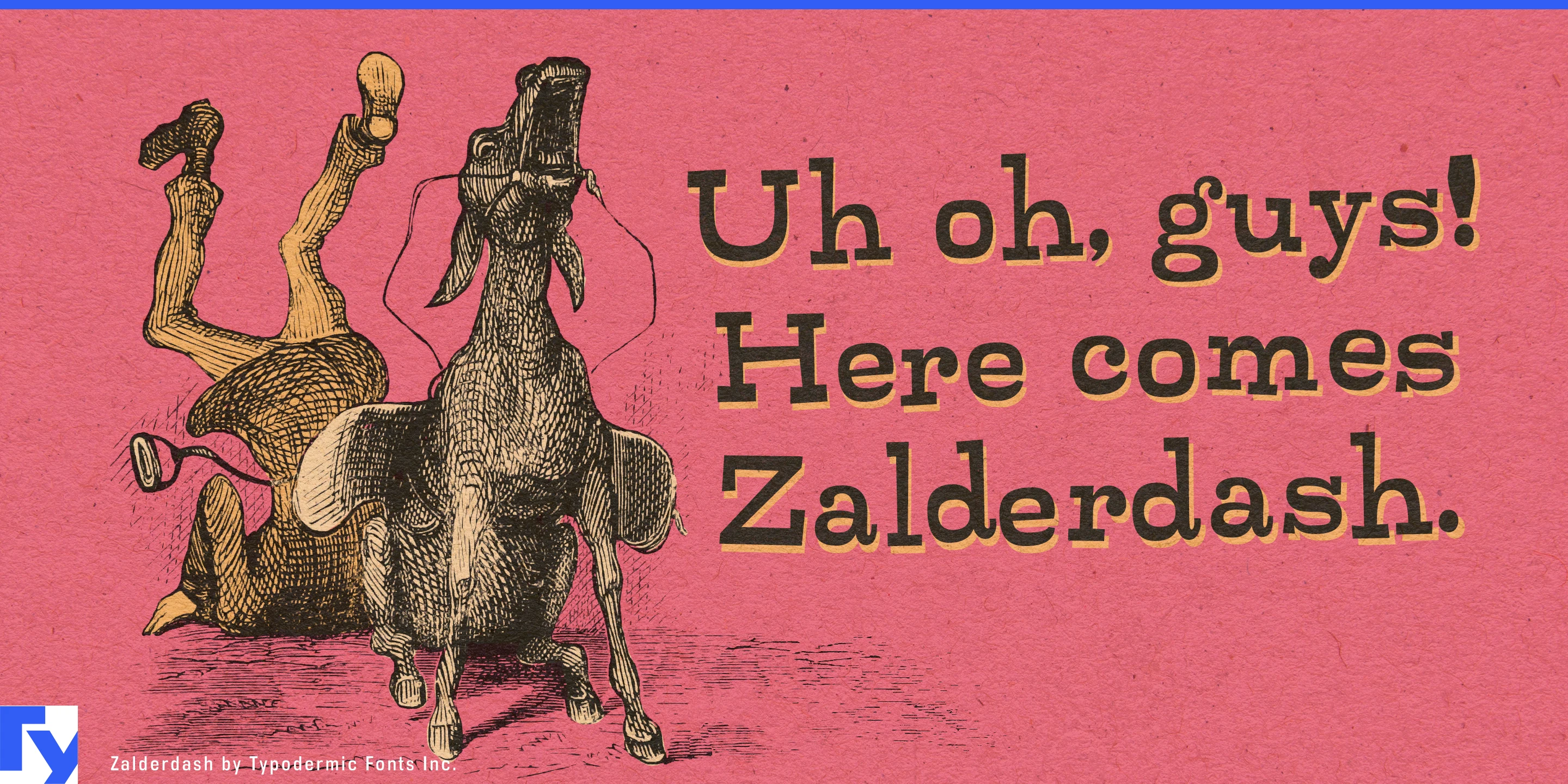 Zalderdash specimen 1