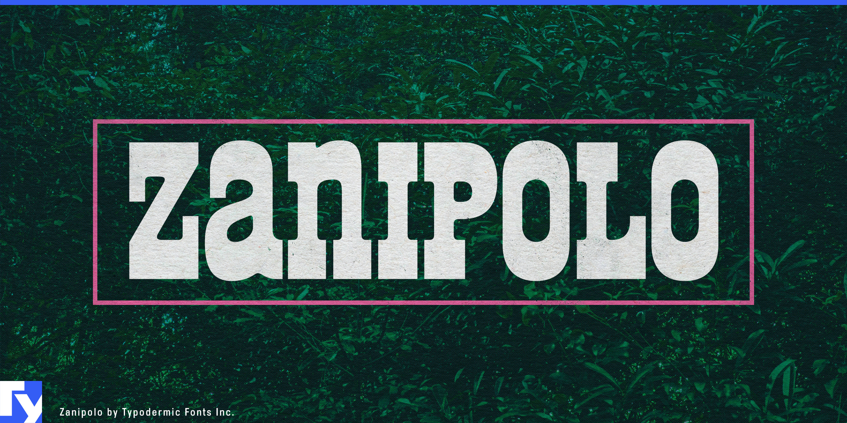 Zanipolo specimen 1